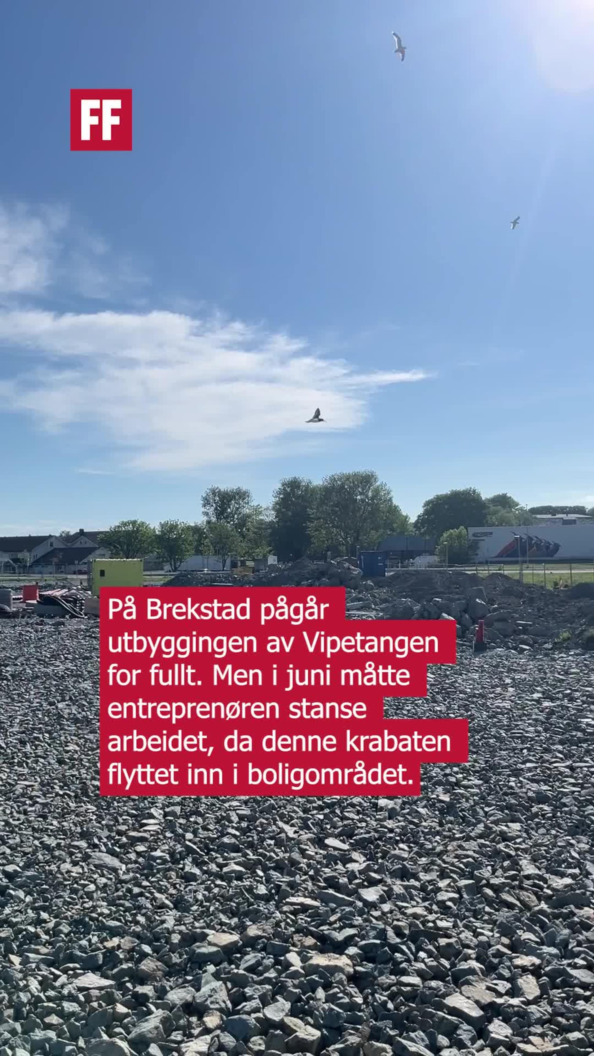 Måtte stanse arbeidet på grunn av fugl