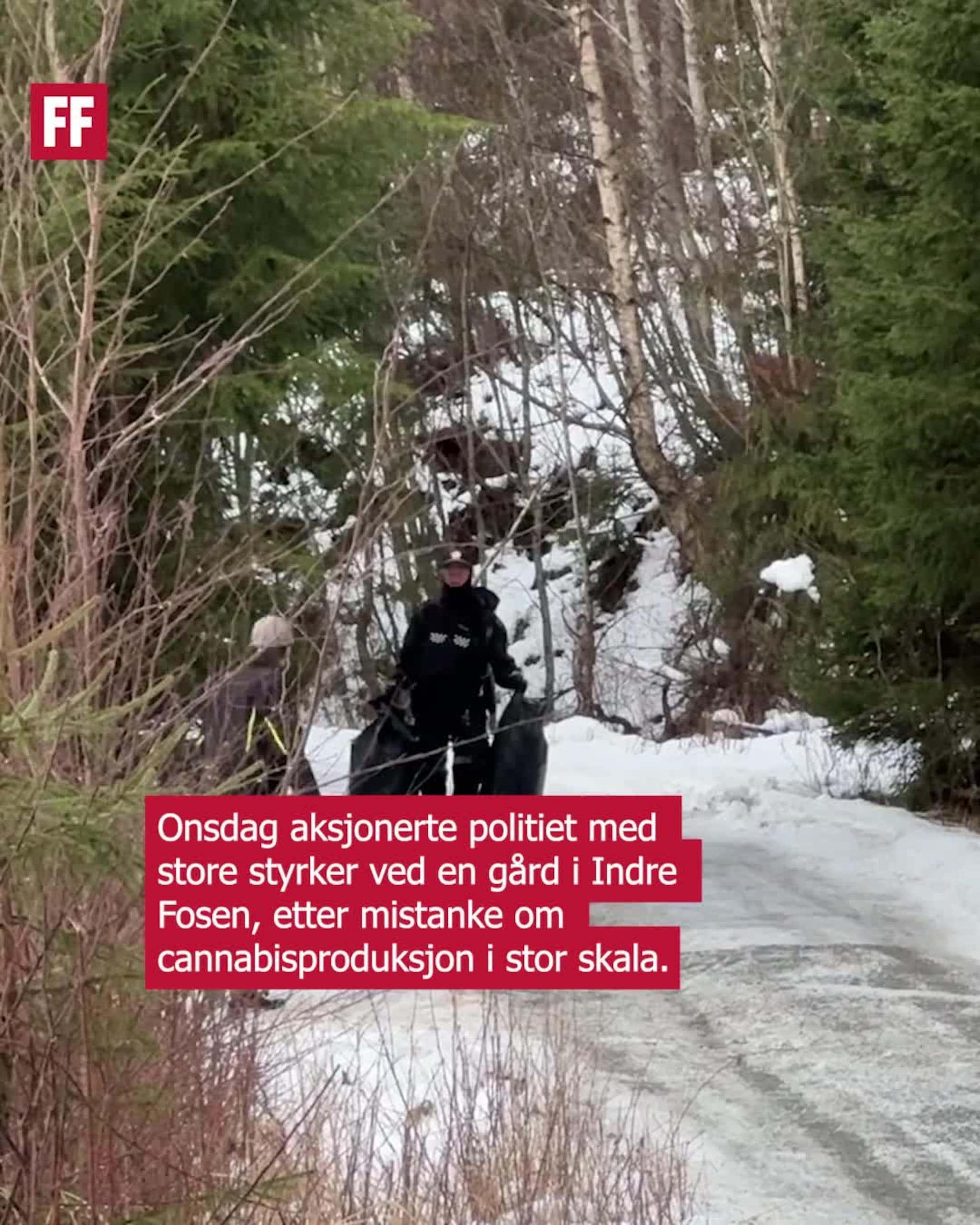 Syv personer arrestert i tilknytning til gård på Fosen