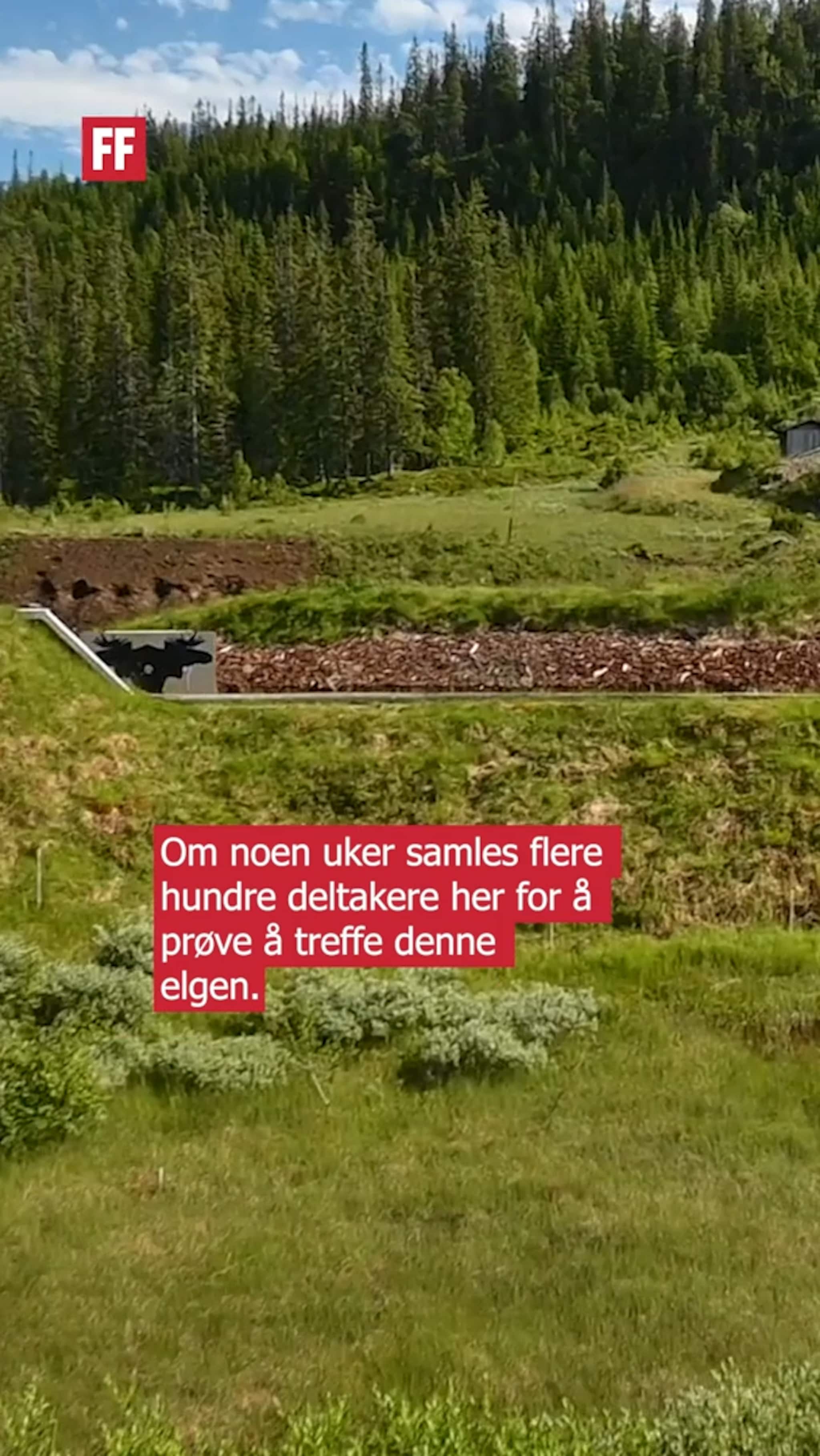 Venter 350 deltakere til norgesmesterskap på Fosen