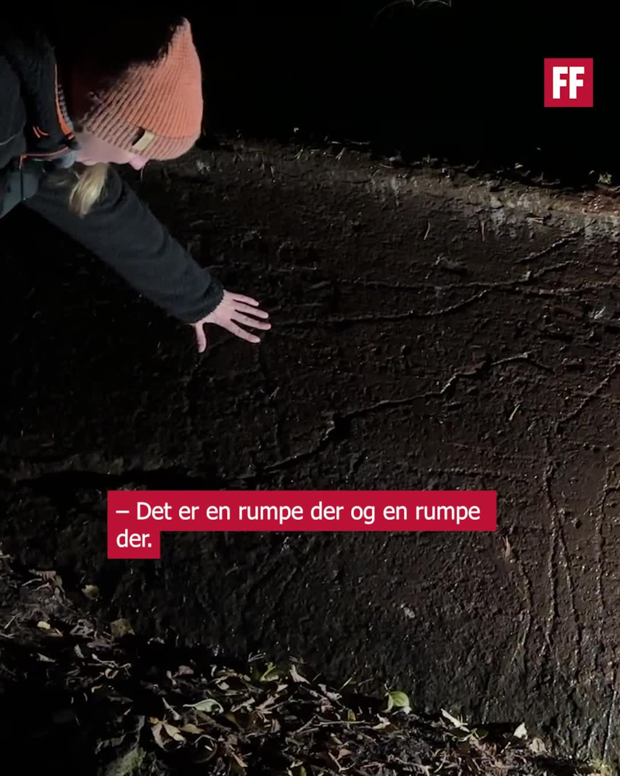 Oppdaget tusenvis av år gammel bergkunst