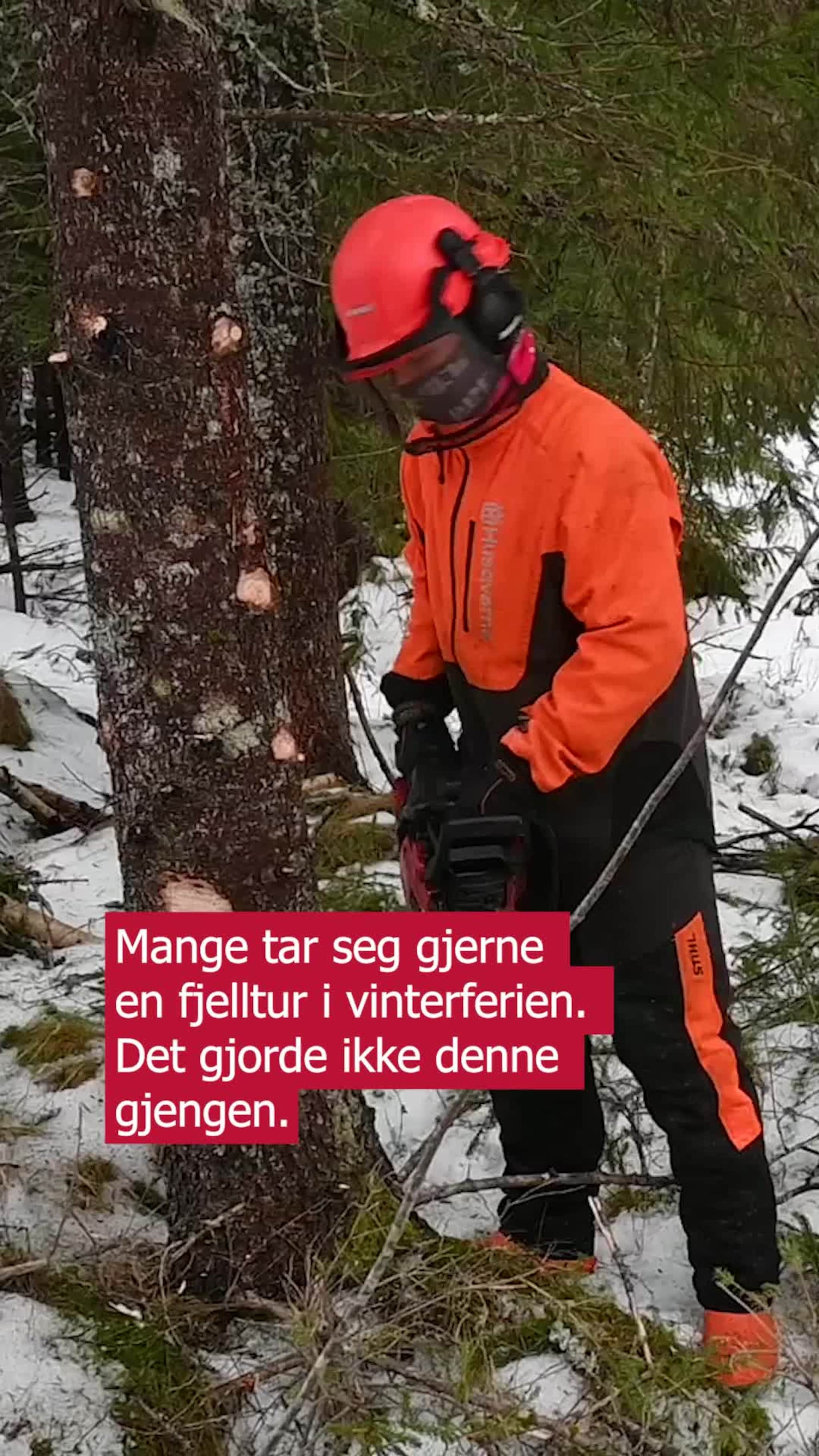 Lærte om skogsarbeid i vinterferien