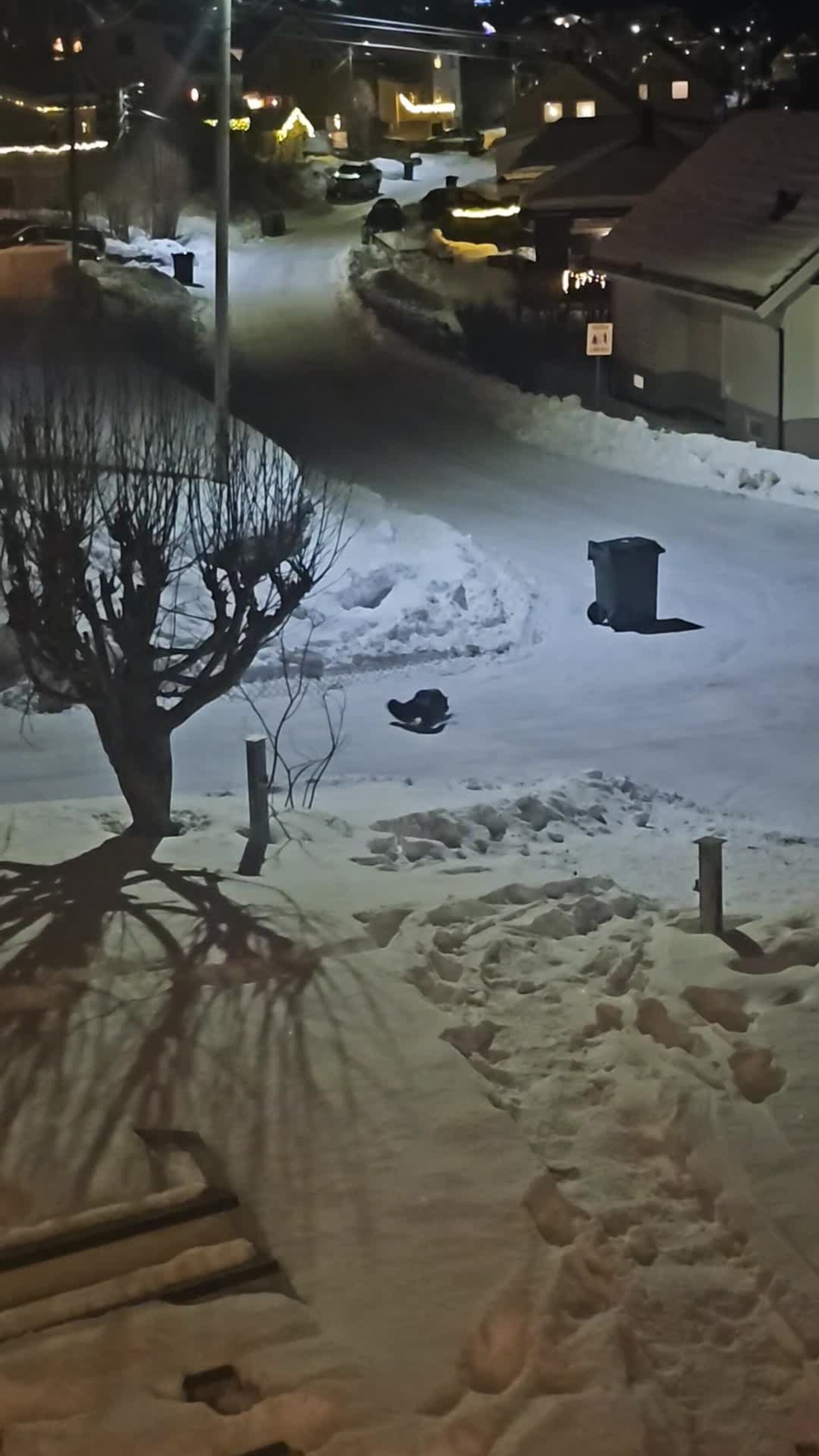 Se de søter oterne