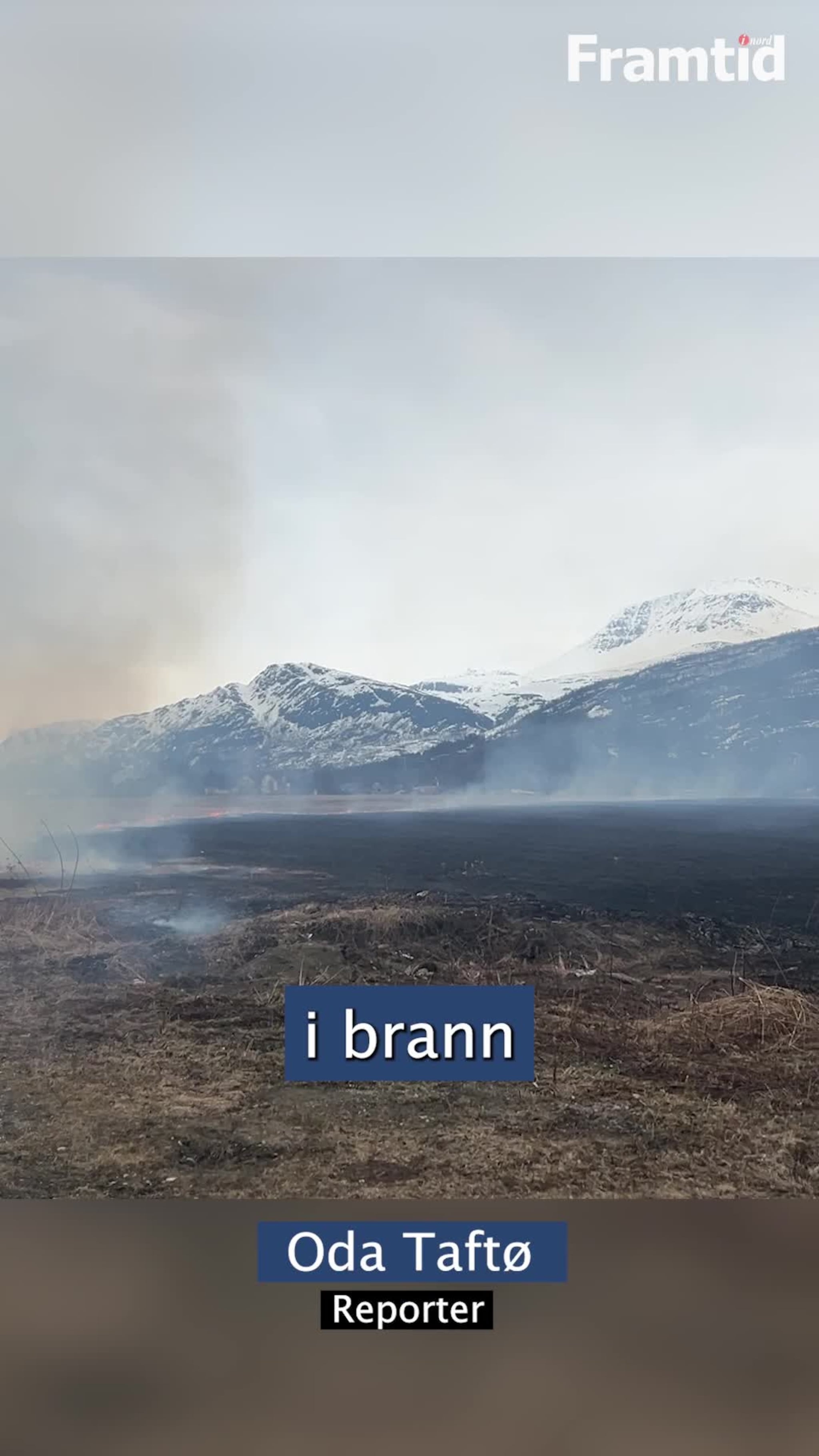 Stor gressbrann på åker