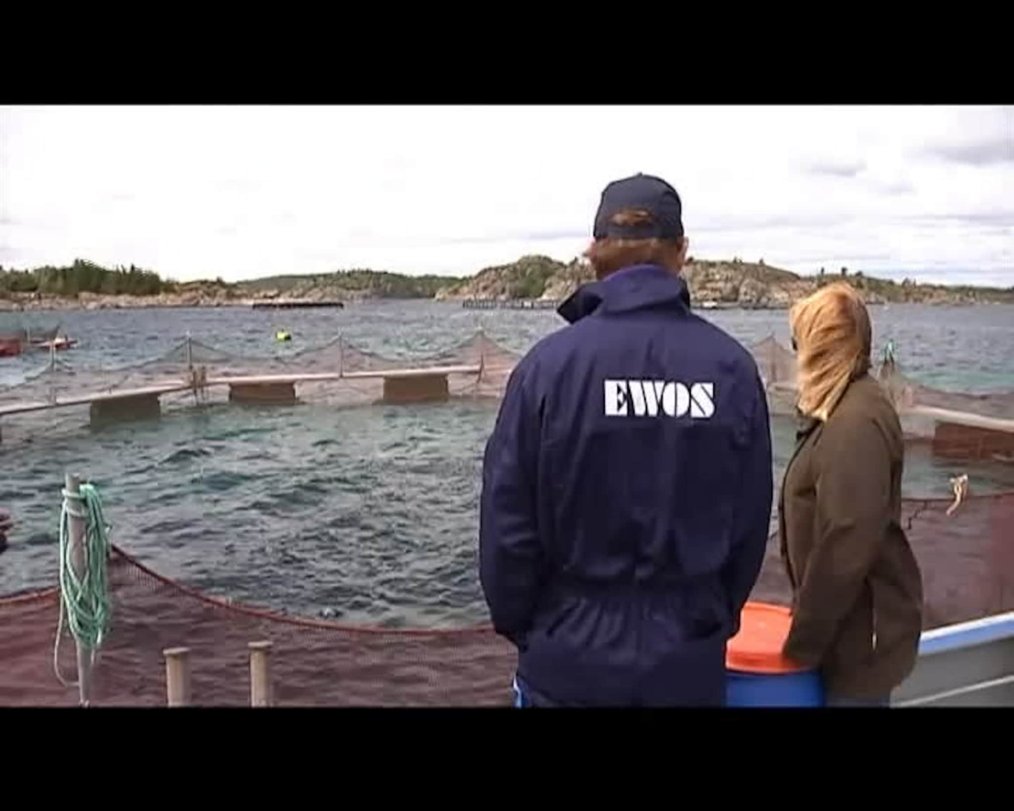 FVNTV 08.07.2008