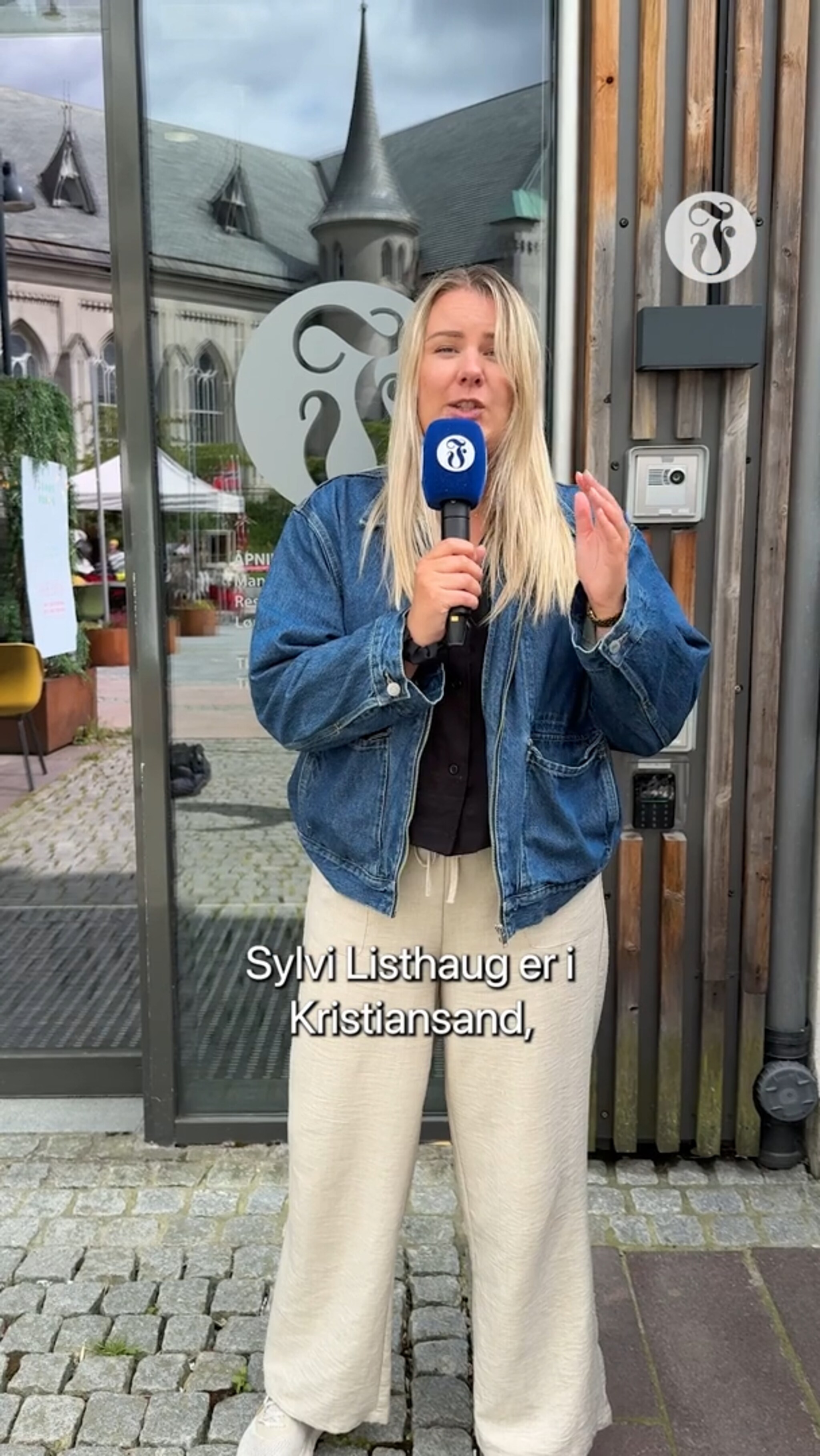 Sylvi Listhaug om ungdomskriminalitet