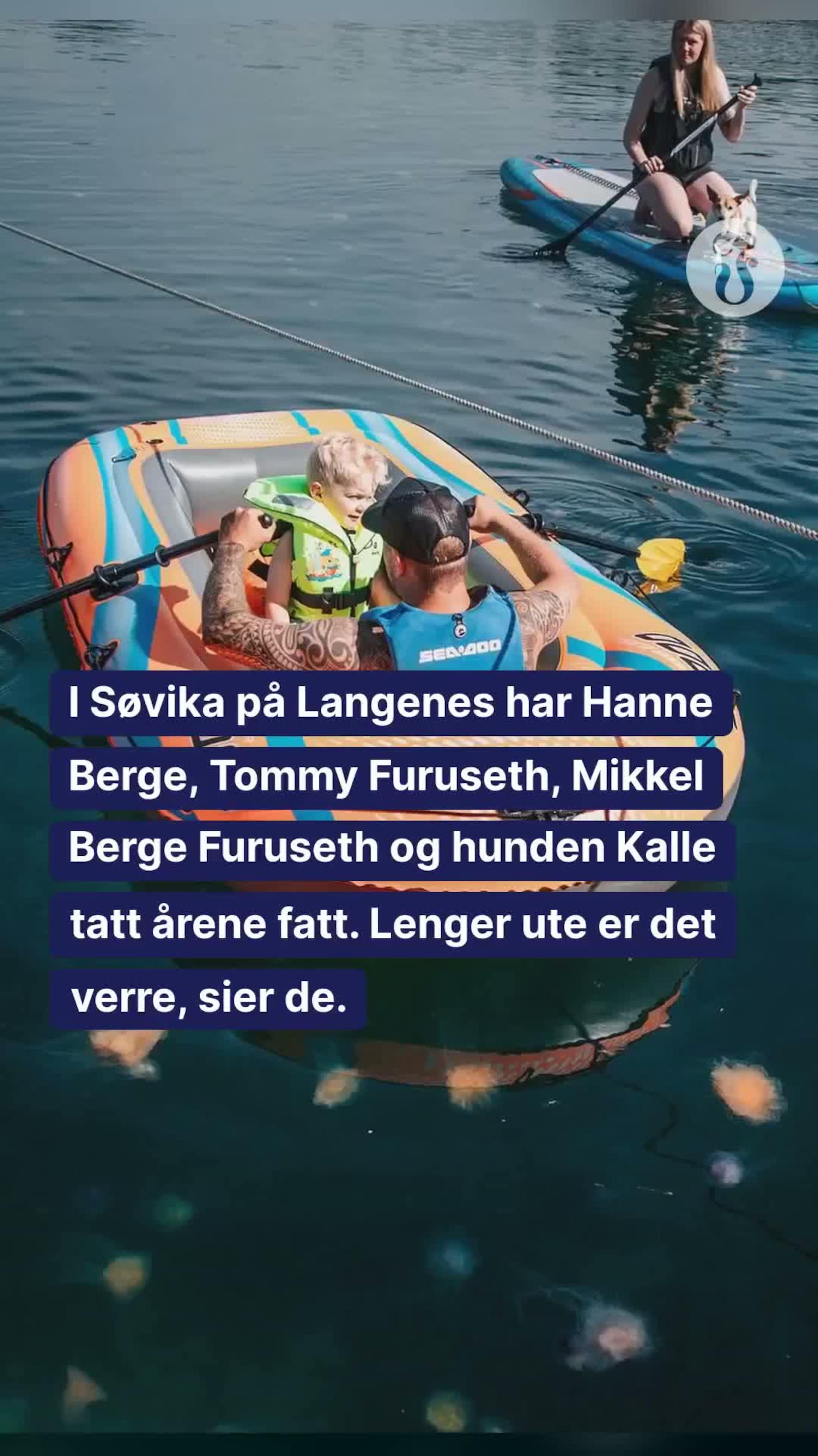 Tett med maneter på strendene