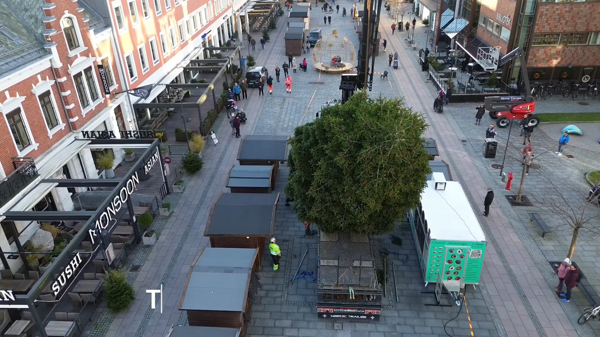 Her løftes juletreet på plass