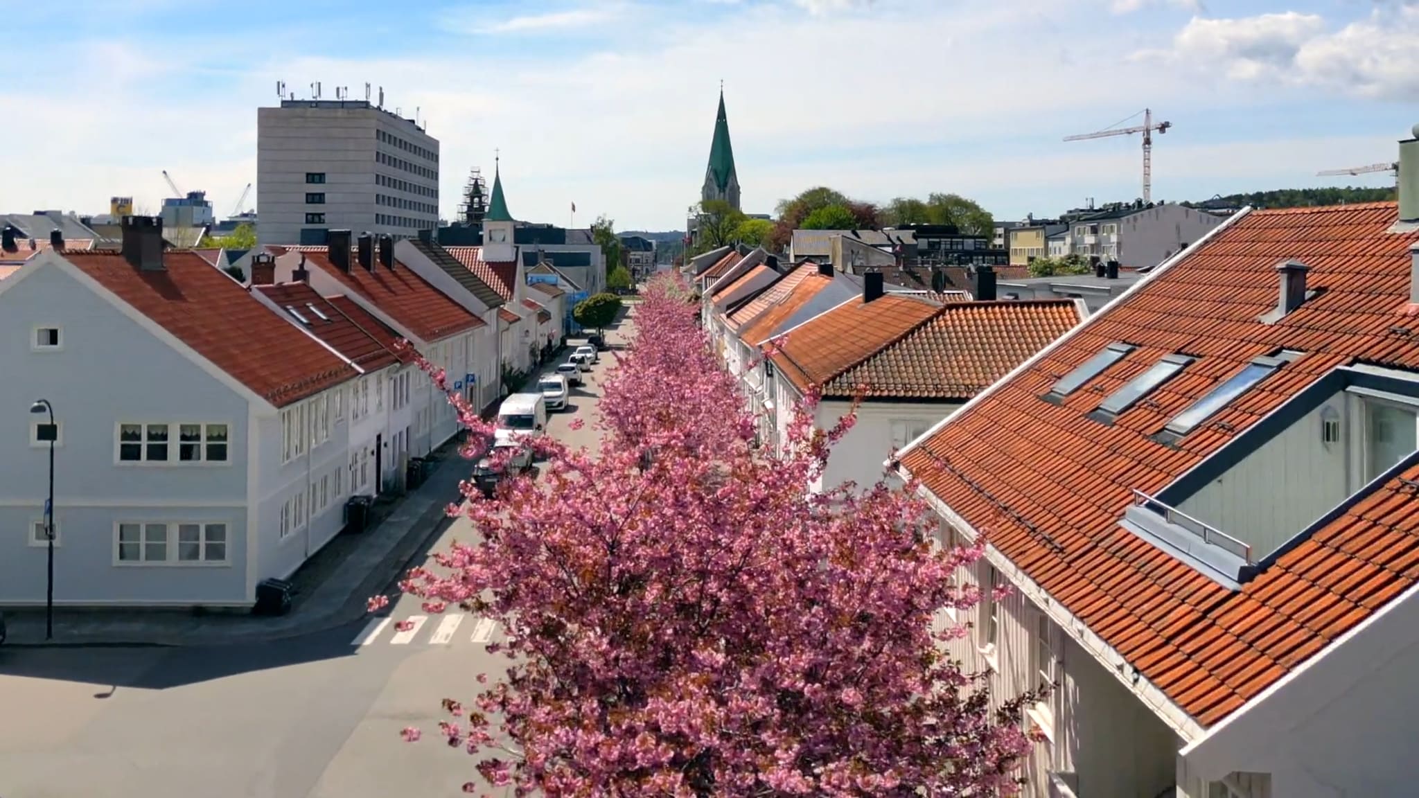 Video: Fly over de vakre trærne i Rådhusgata
