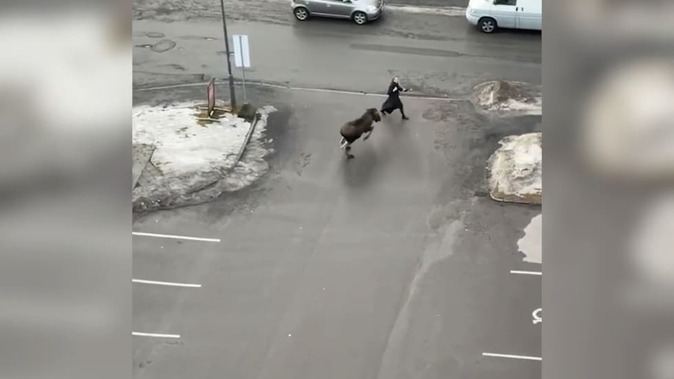 Her blir Iben angrepet: – Helt surrea­listisk