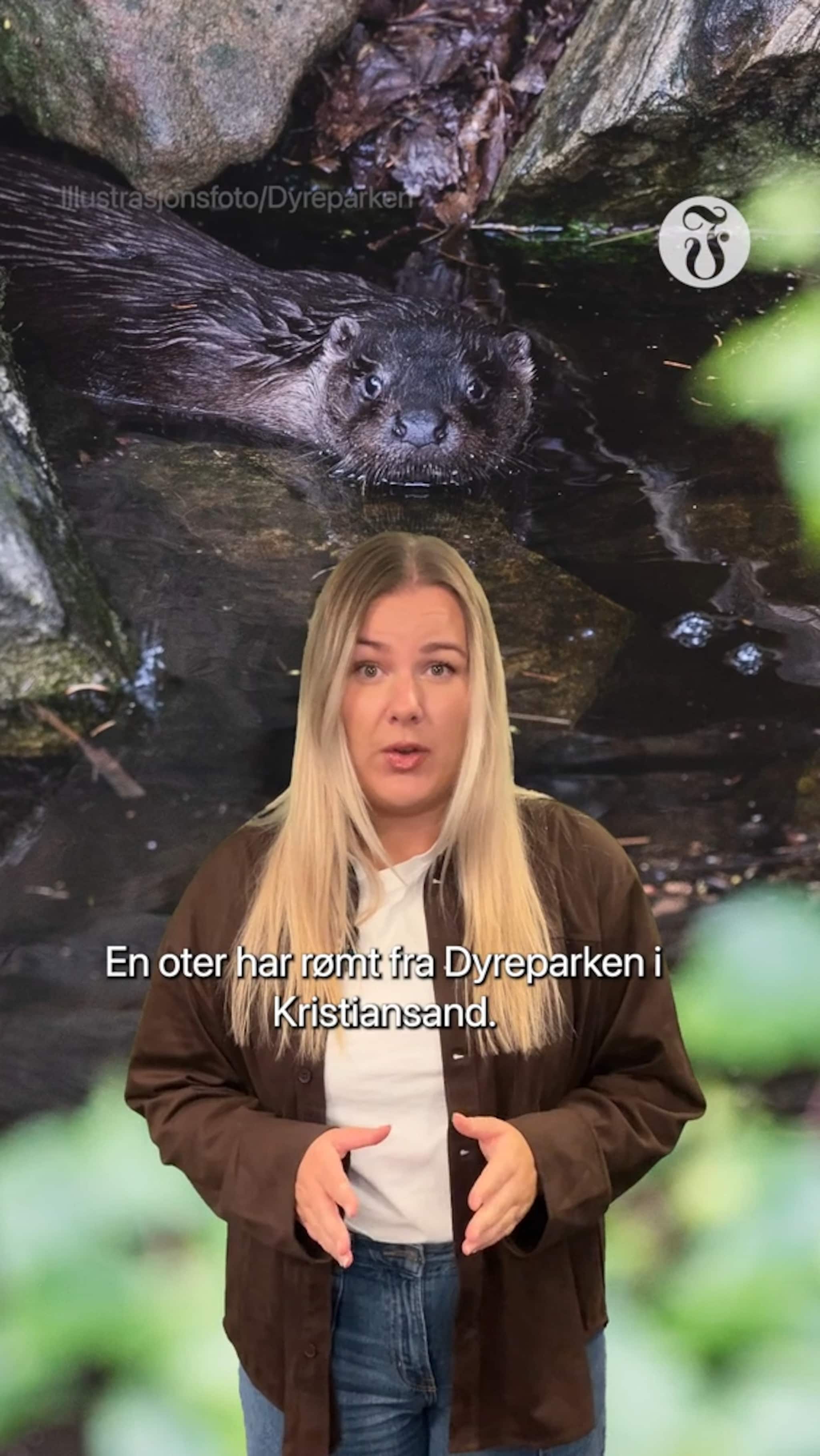 En oter fra Dyreparken har rømt