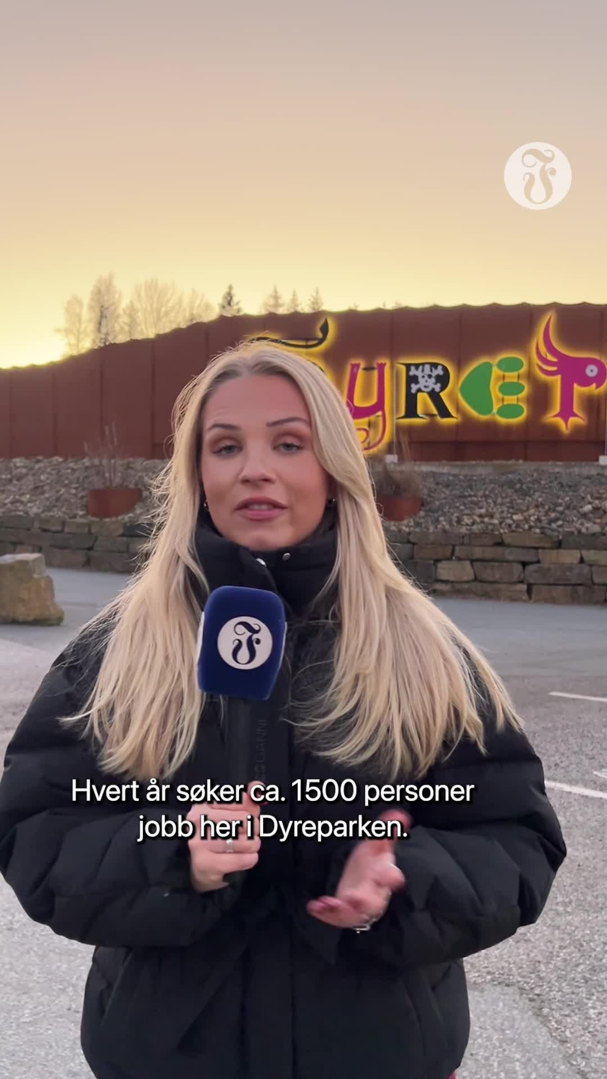 Sommerjobb i Dyreparken: Dette ser de etter