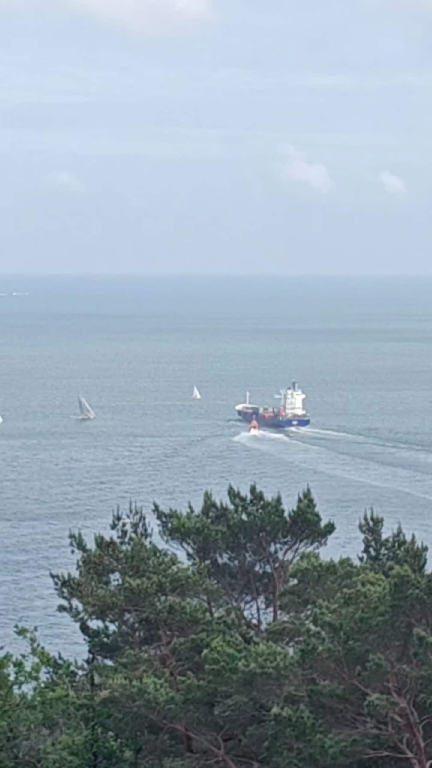 Nesten galt i byfjorden