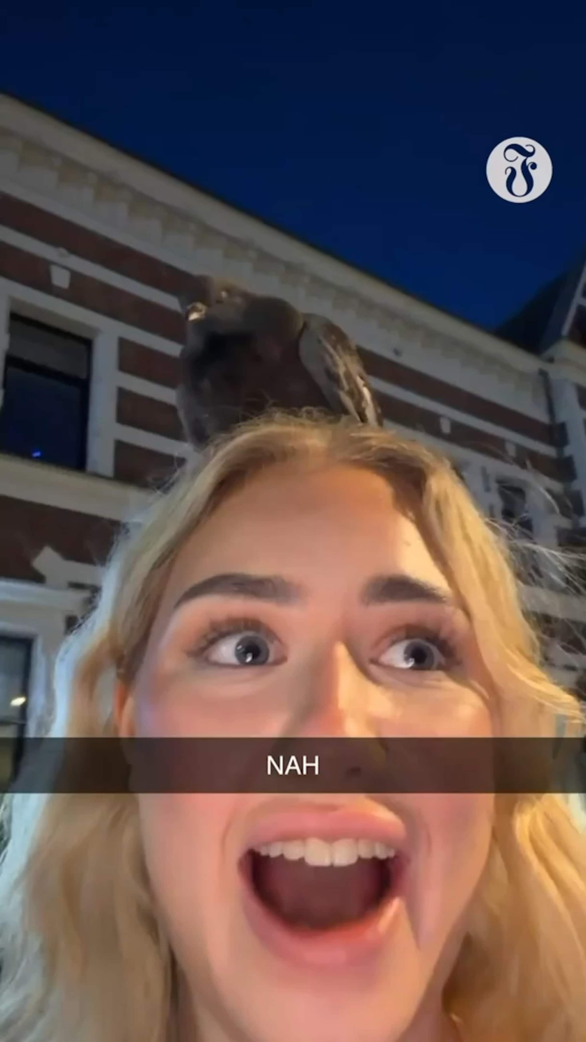 Fikk spesielt møte med due