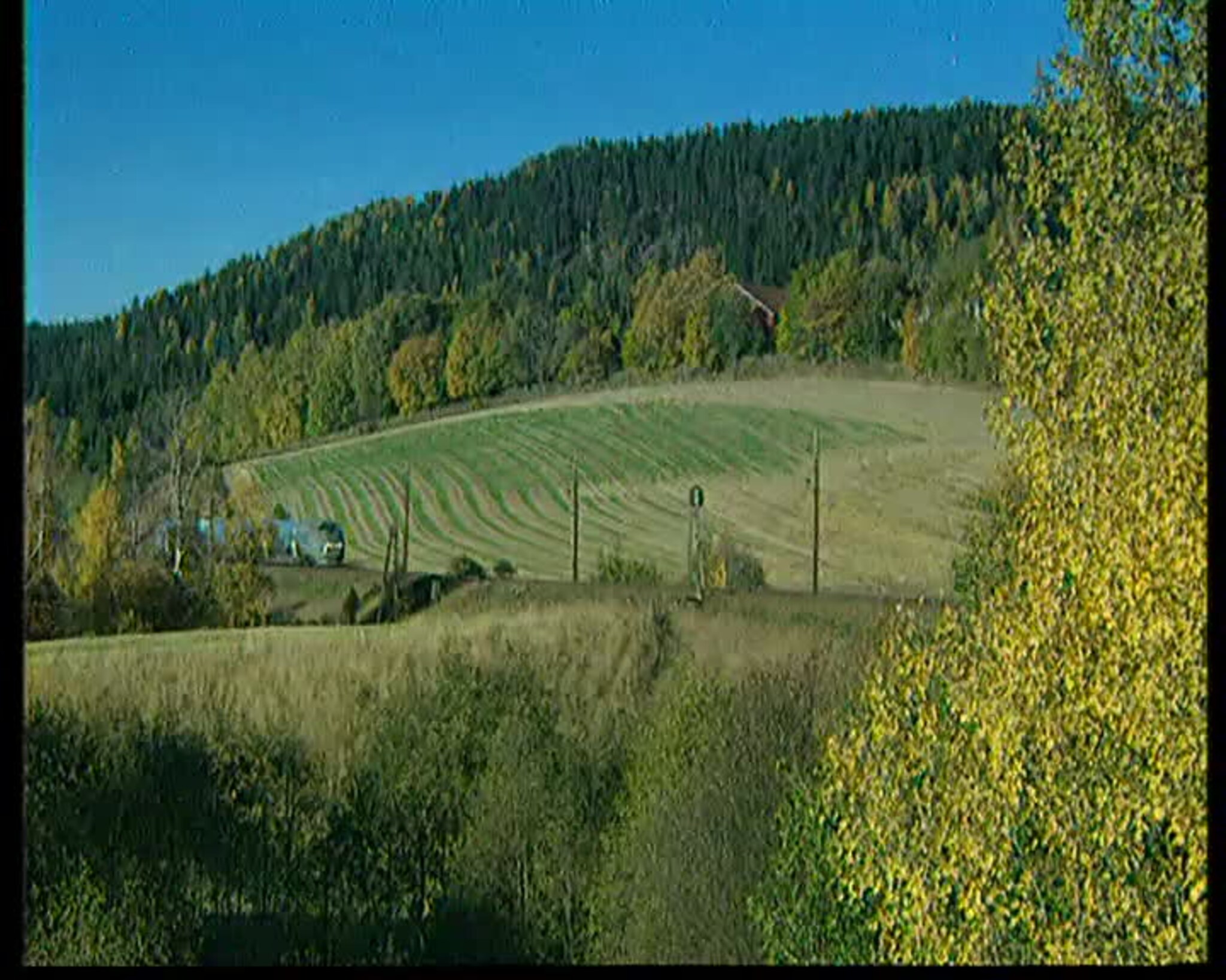 TVSør 15.10.2001