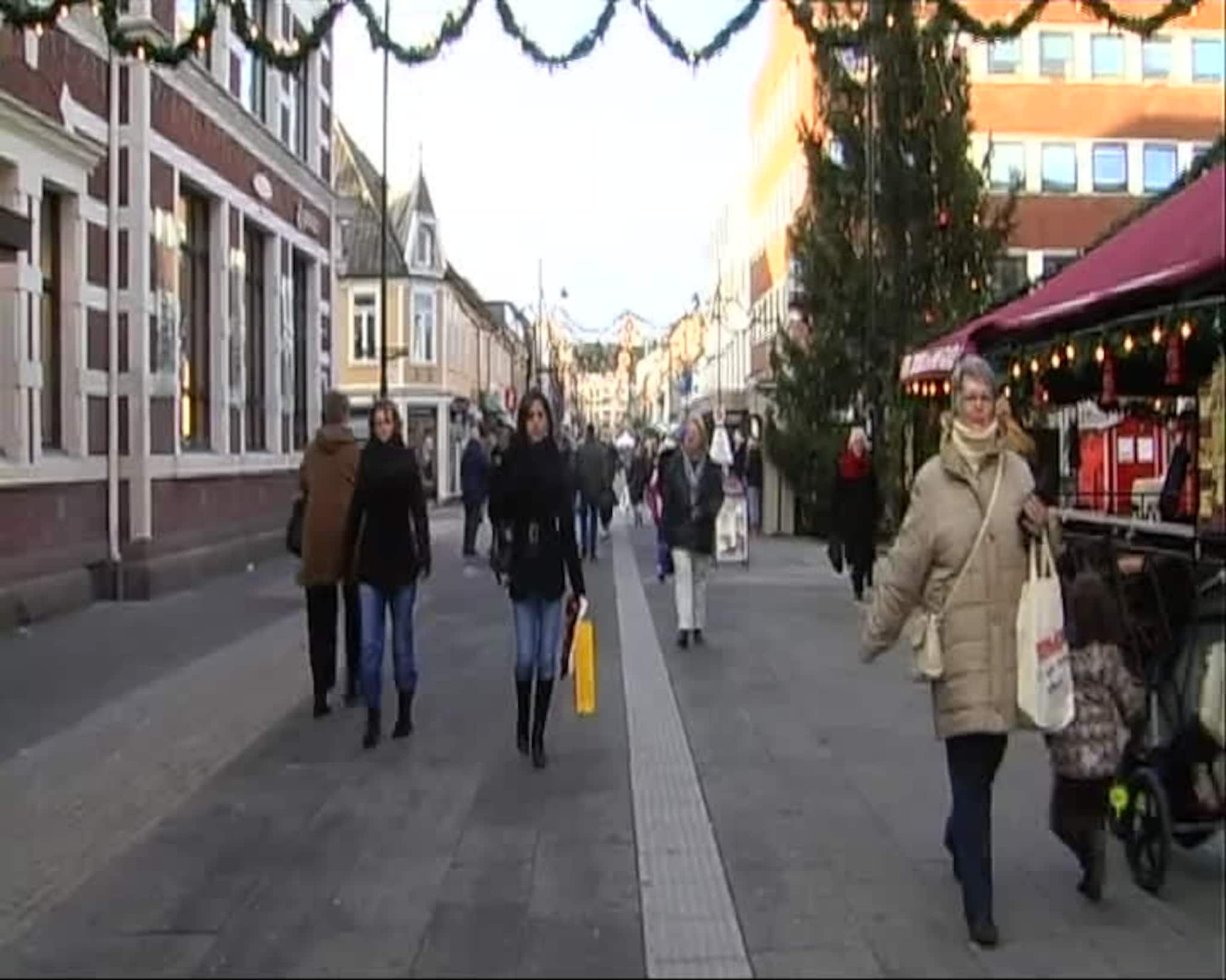 FVNTV 11.12.2008