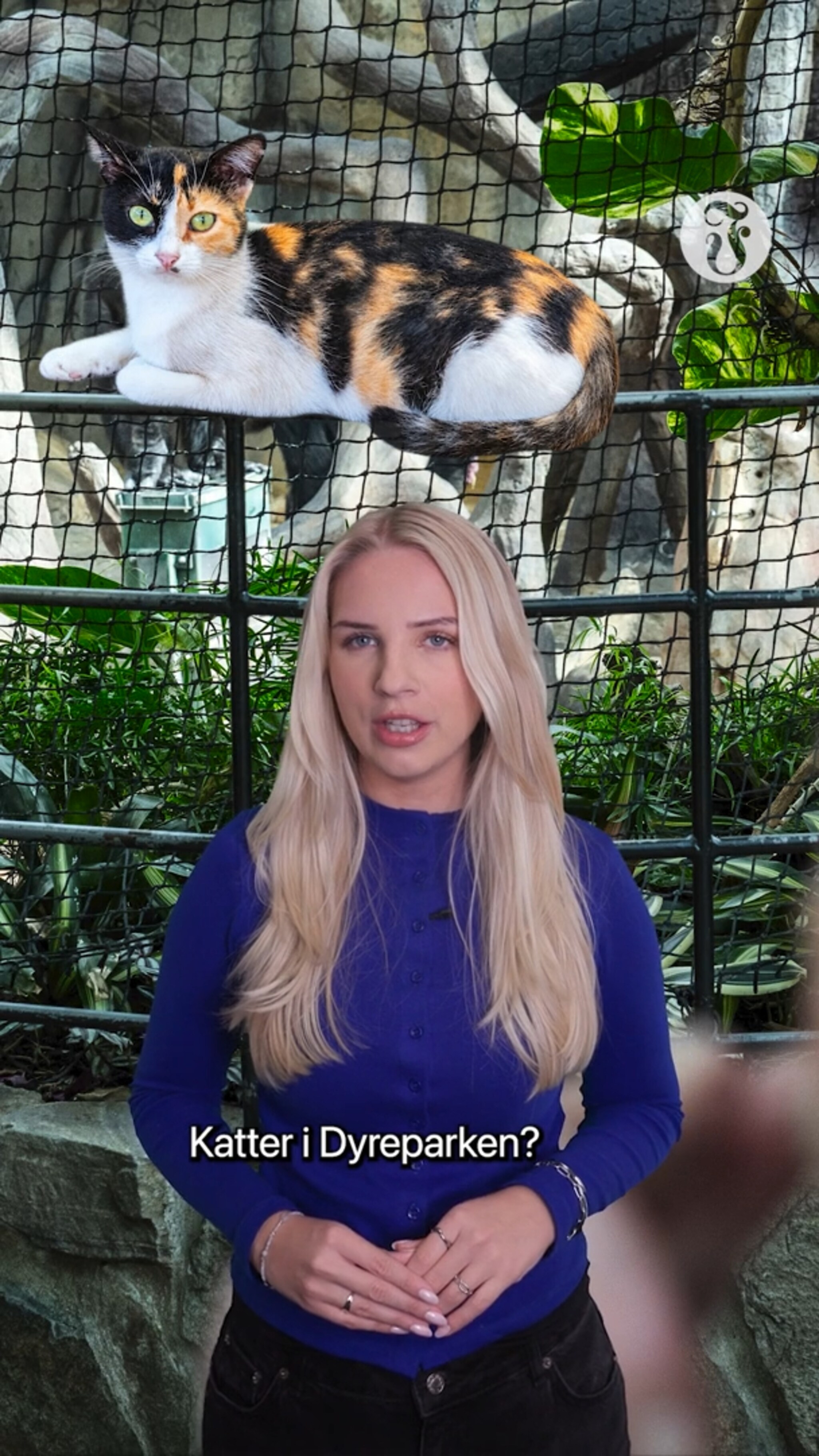 Vil ha katter i Dyreparken