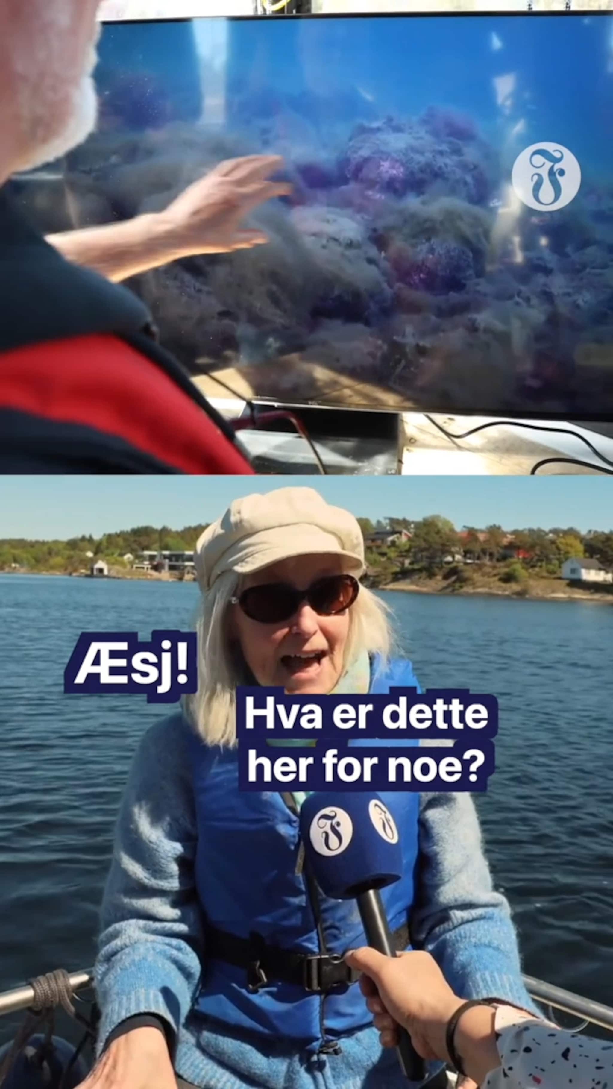 Har eksplodert langs kysten: - Æsj!