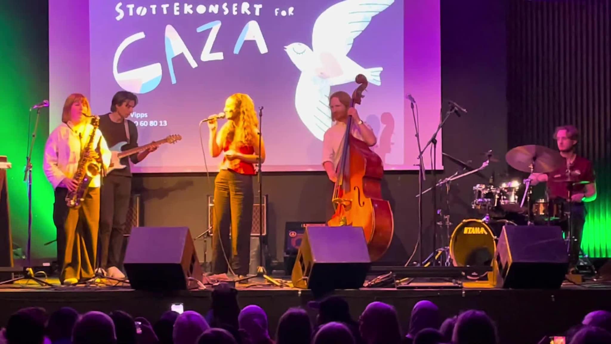 Bidrag på støttekonsert for Gaza