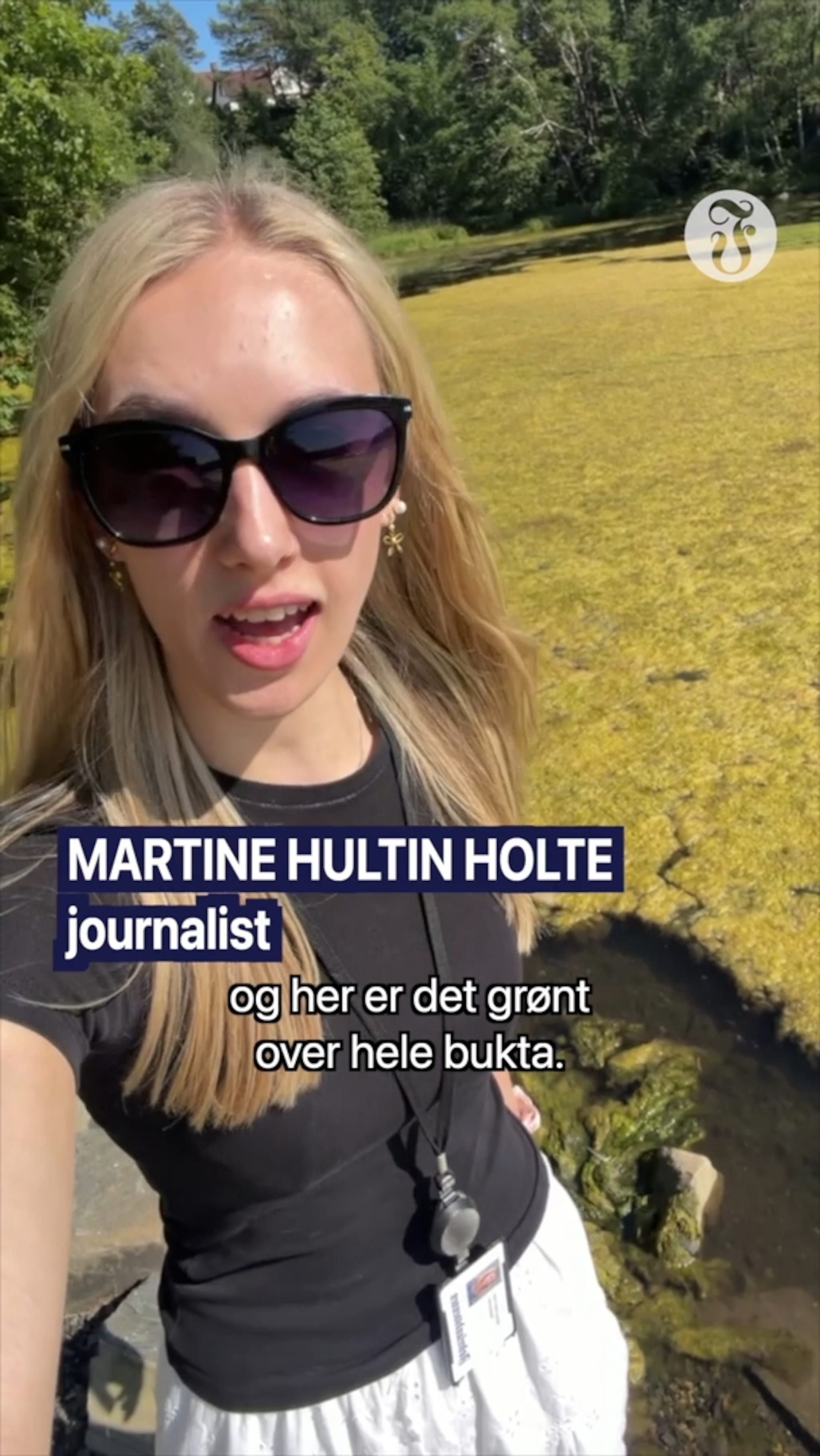 Her er hele bukta dekket med et grønt teppe