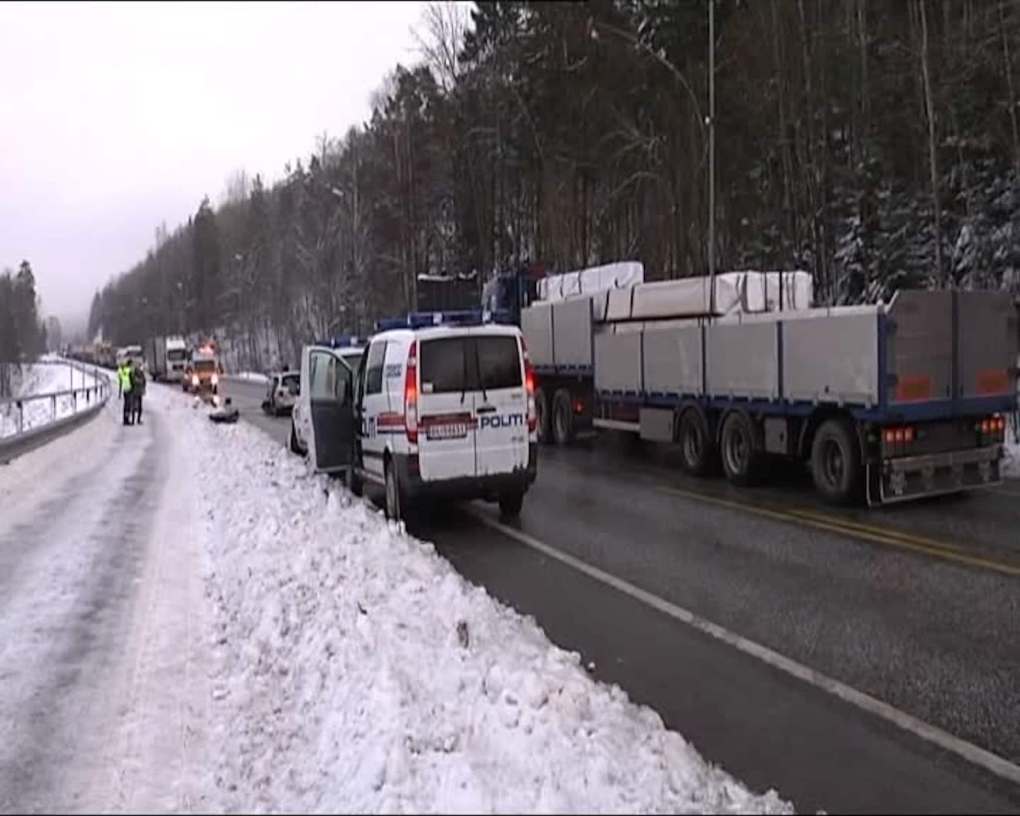 FVNTV 08.12.2008