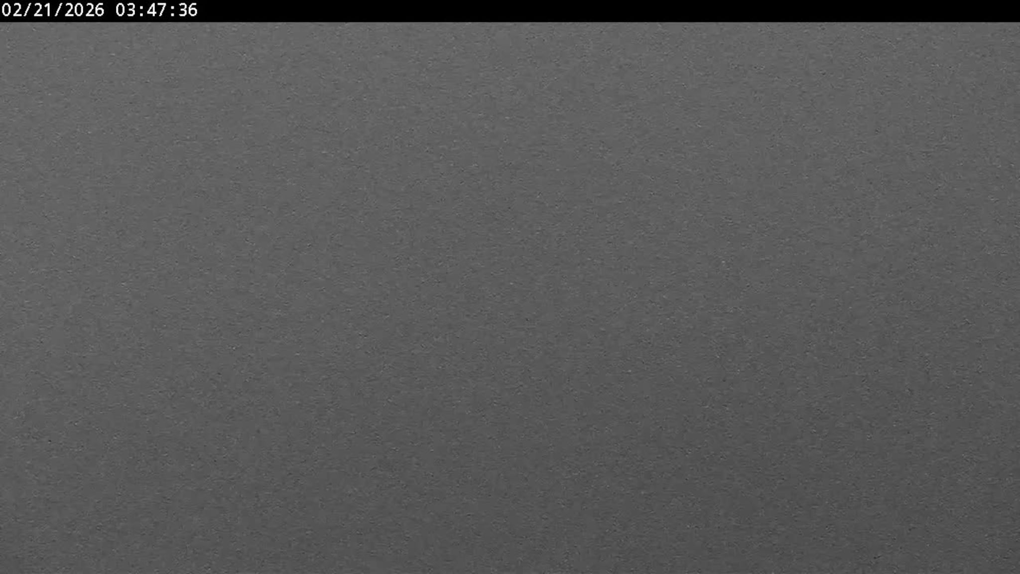 Livekamera over Kristiansand havn