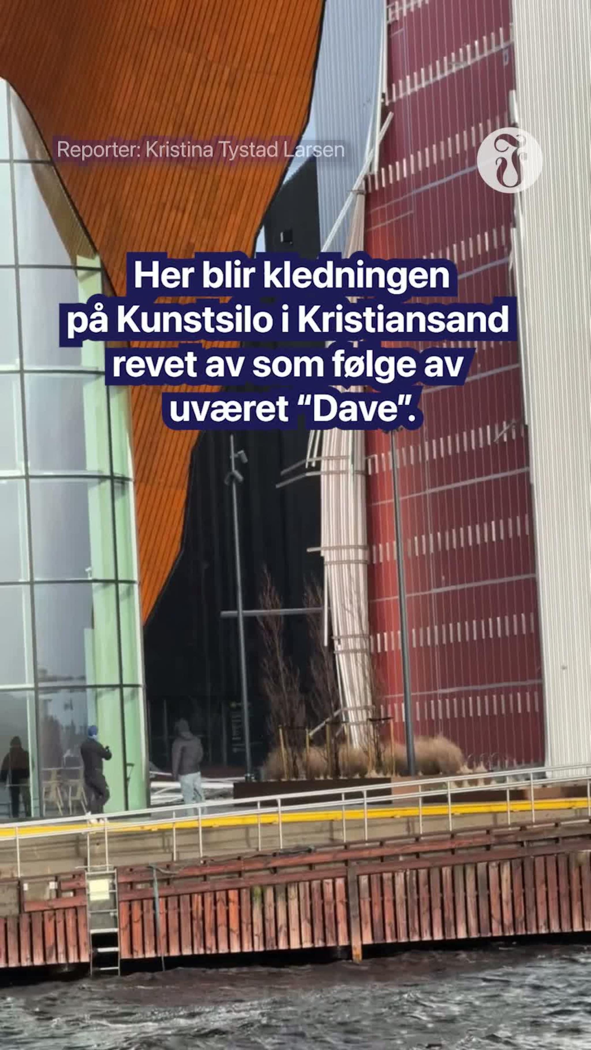 "Dave" river av kledning på Kunstsilo