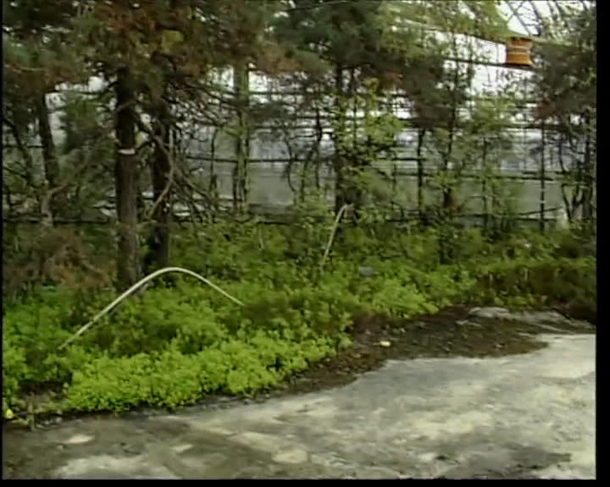 TVSør 29.04.1998