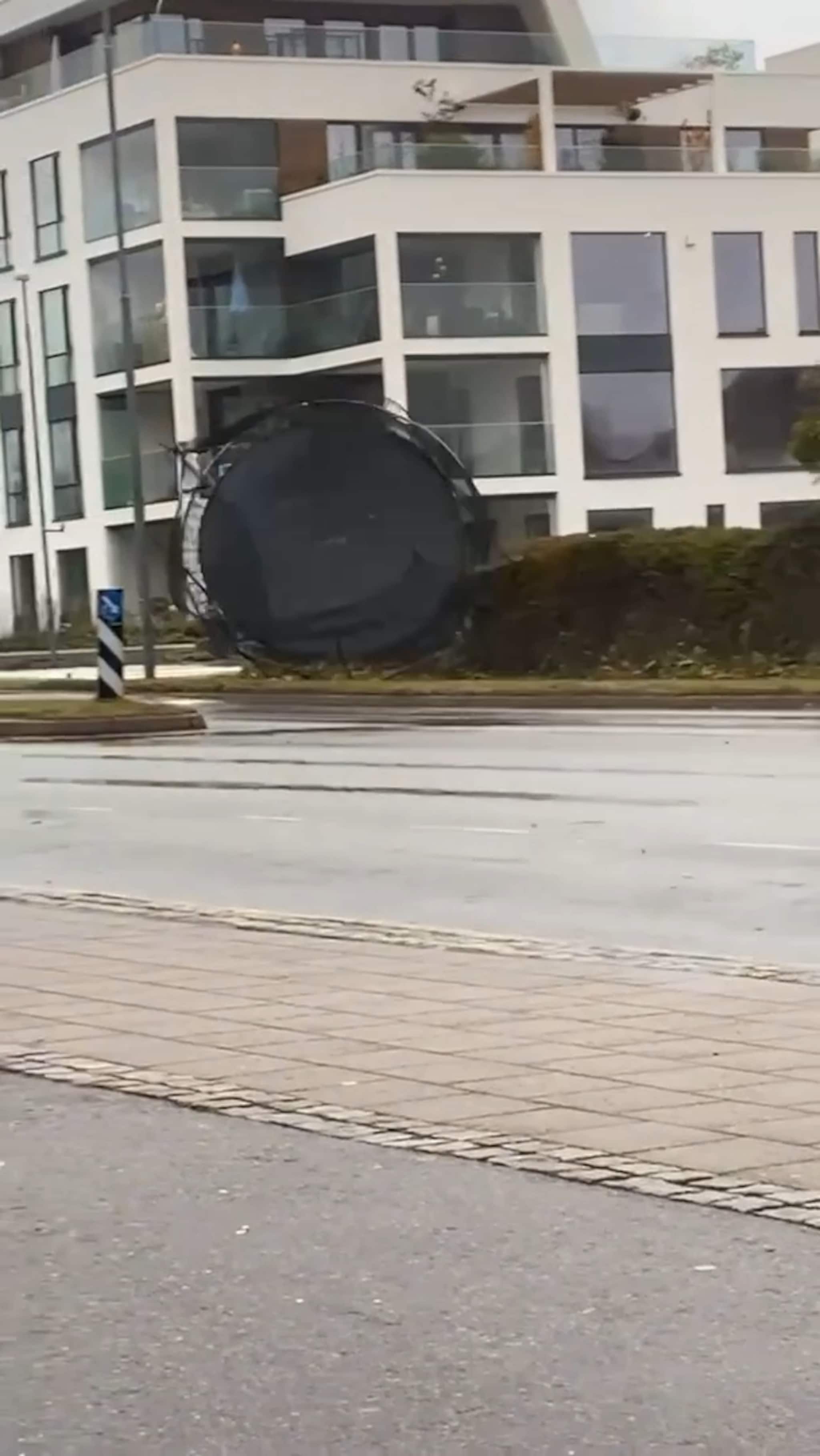 Se trampolinens ville ferd