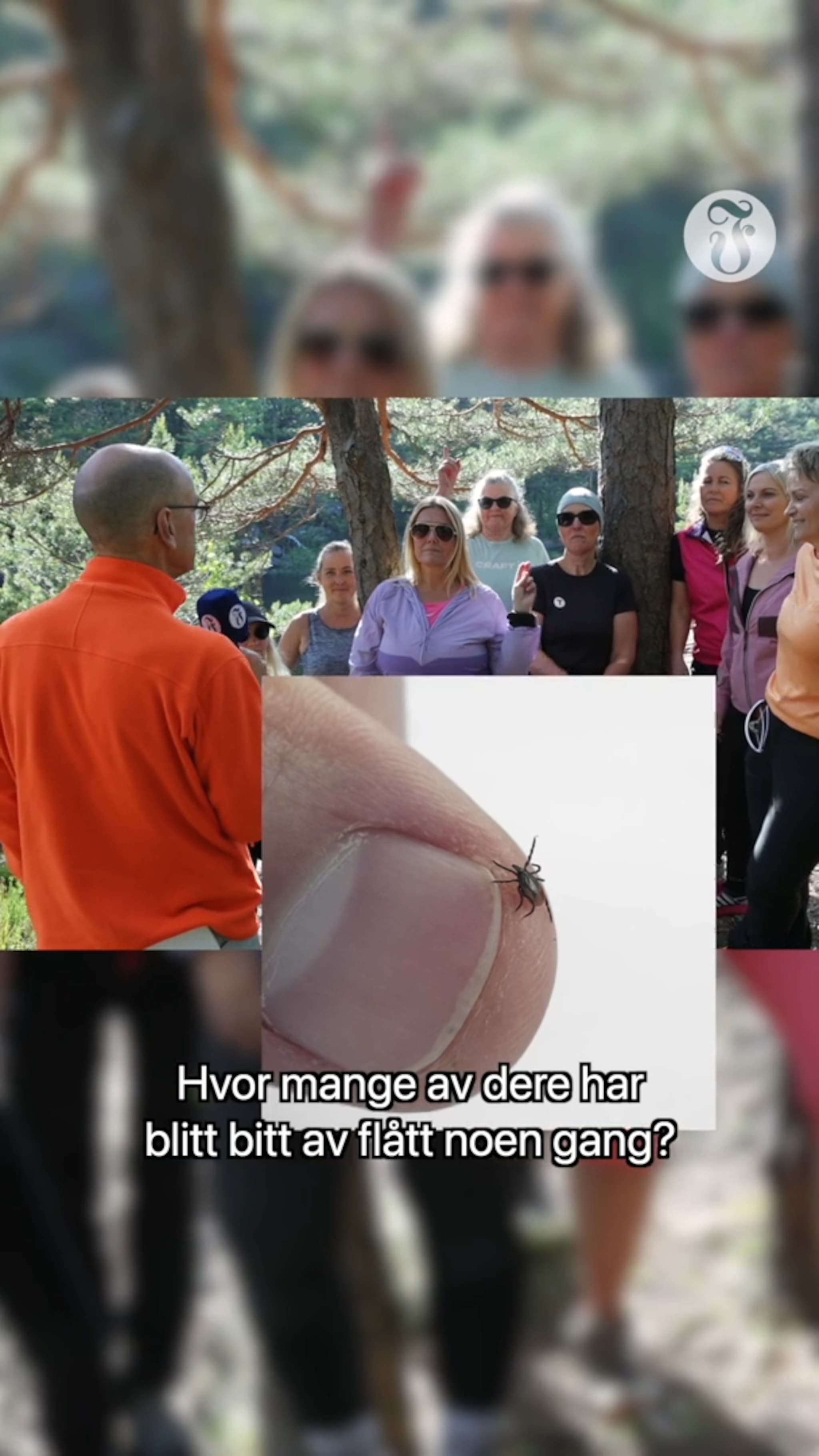 - Hvor mange har blitt bitt av flått noen gang?