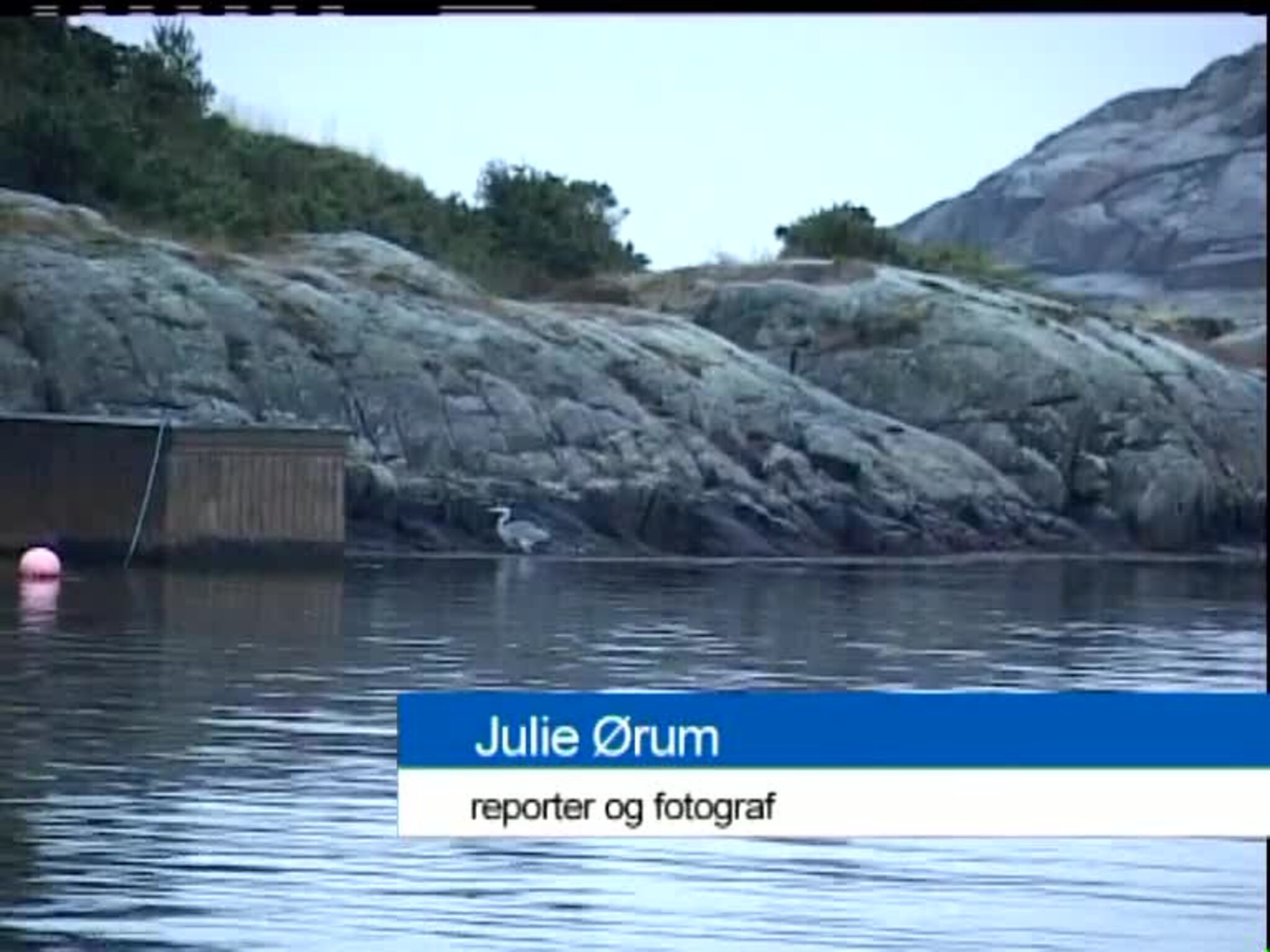 TVSør 23.12.2005