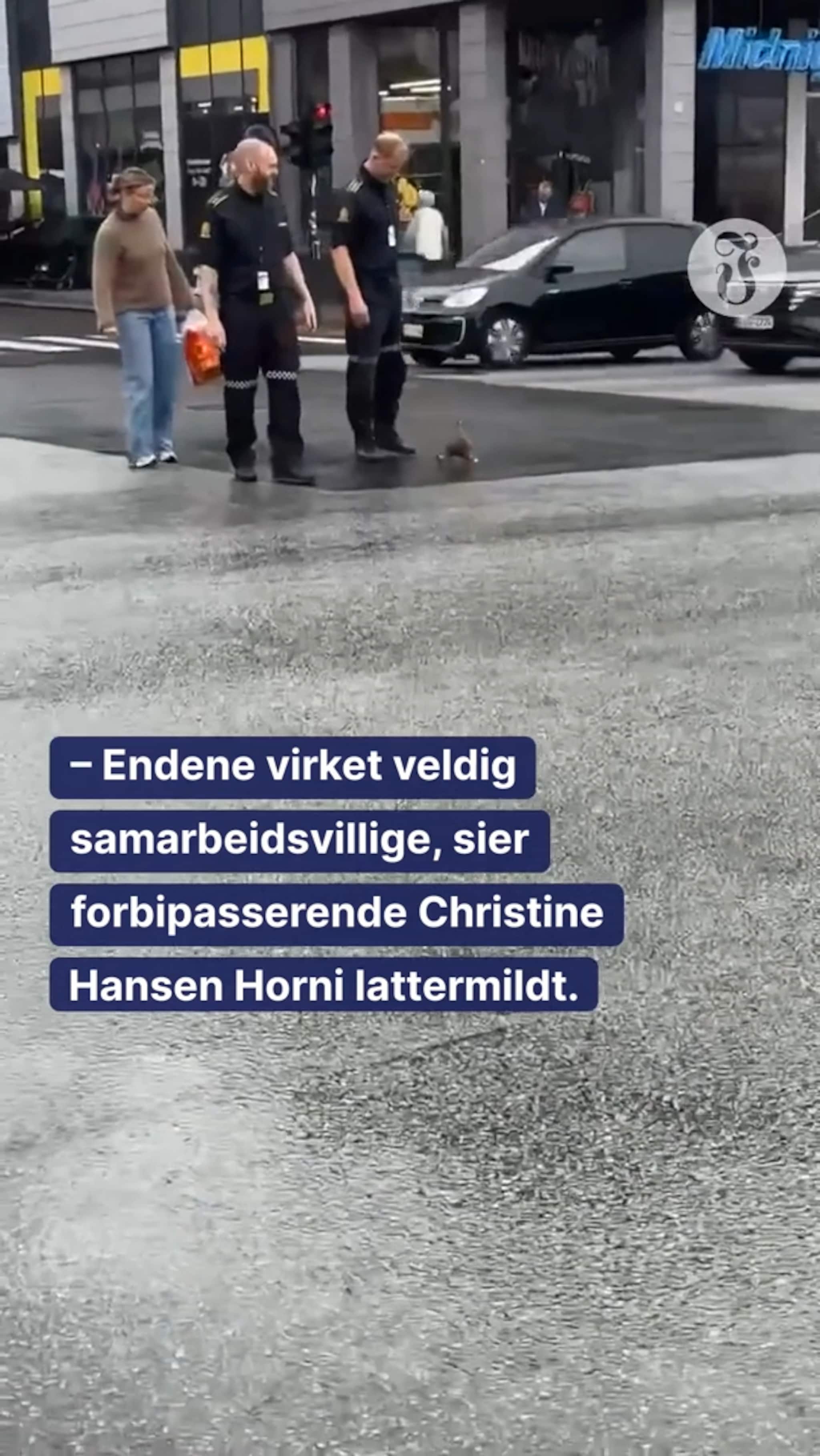 Uvanlig oppdrag for politiet