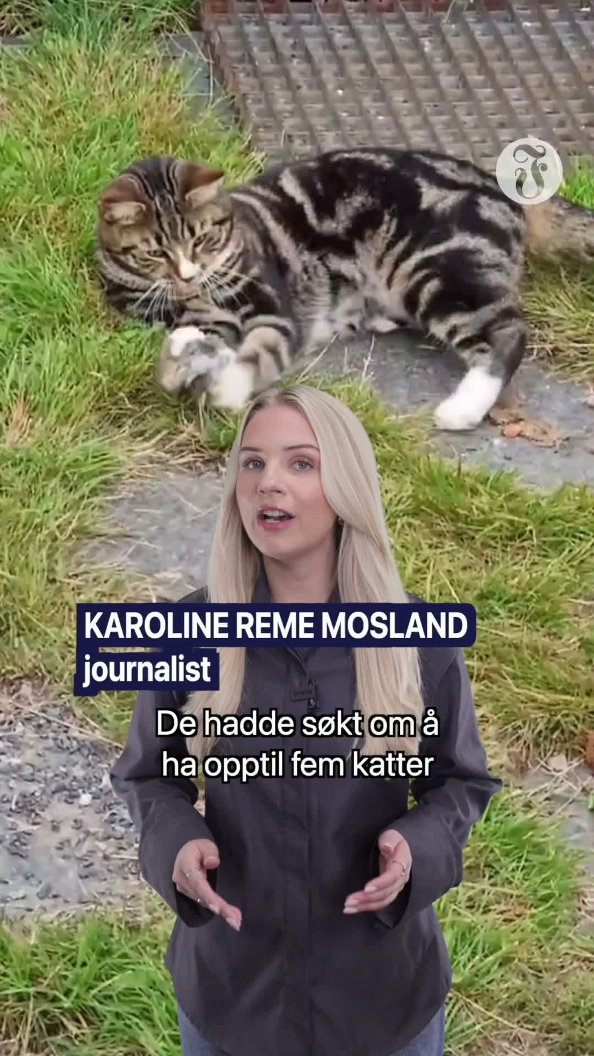 Får ikke lov til å ha katter