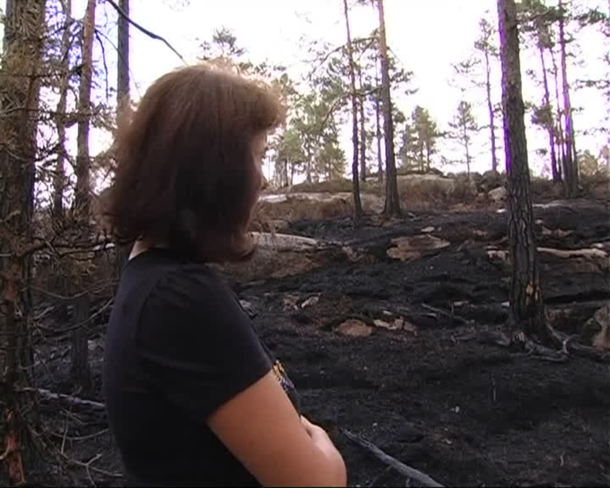 FVNTV 16.06.2008