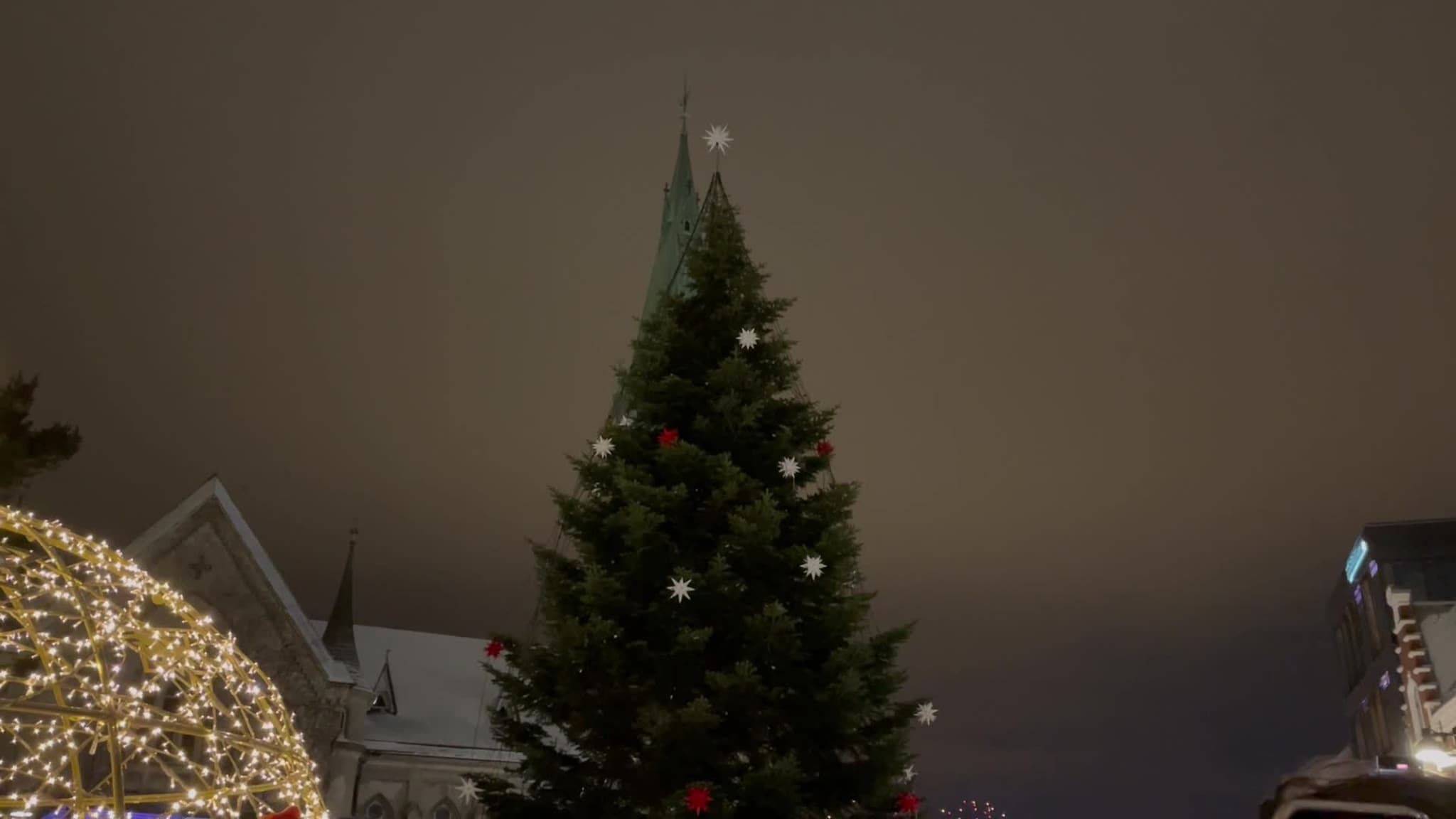 Her tennes julegrana i Kristiansand