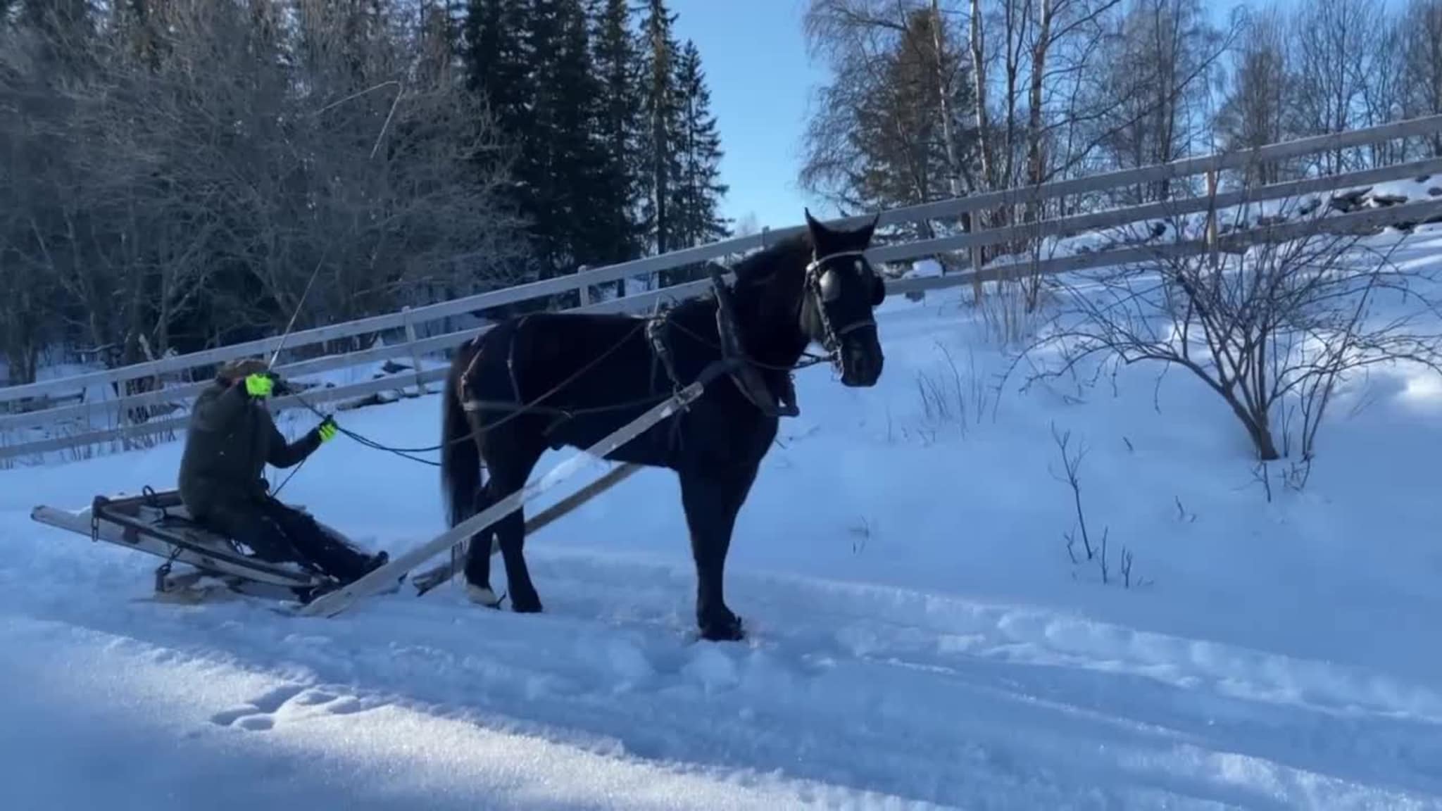 Truger til hest