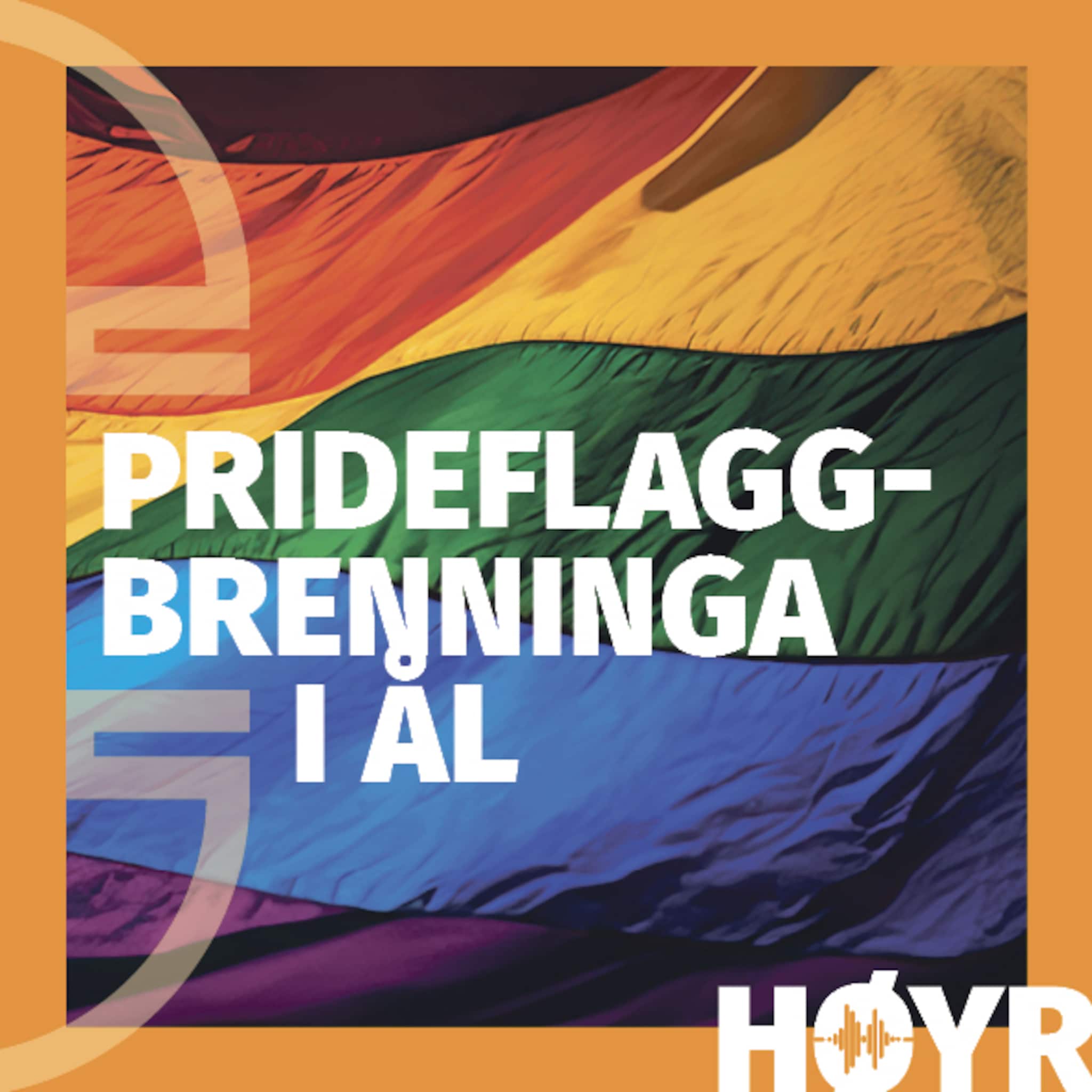 Flaggbrenninga i Ål: – Det melder seg nokre kjensler