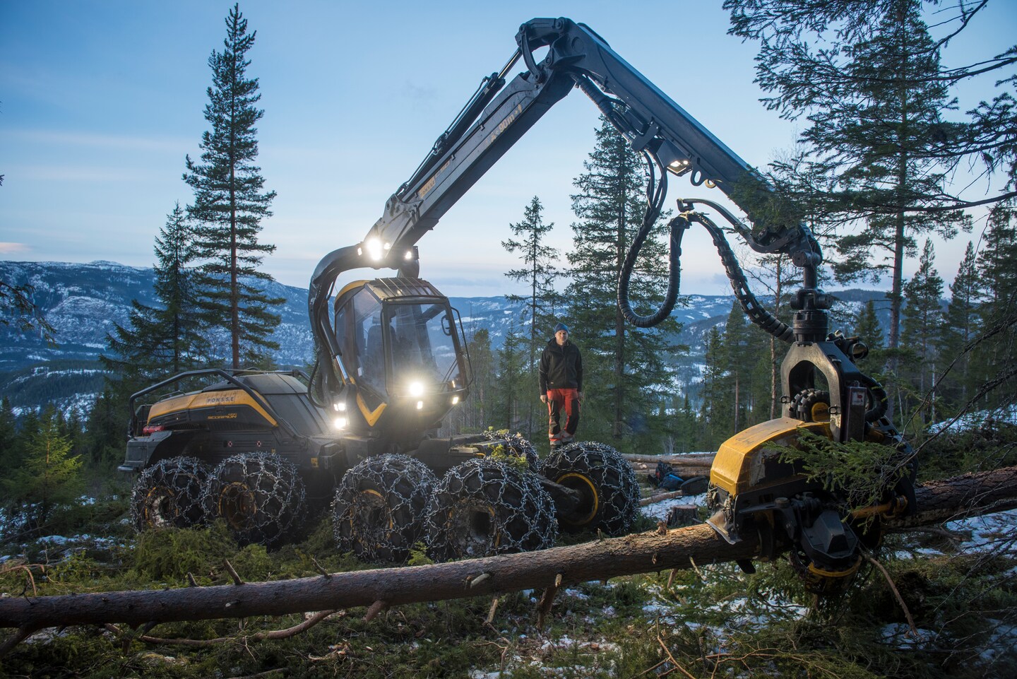 Min maskin: Skorpion i skogen