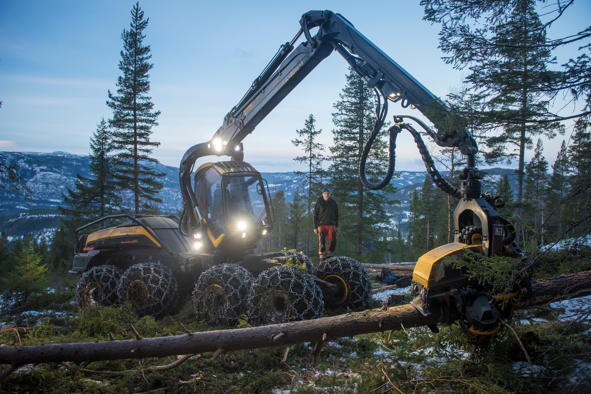 Min maskin: Skorpion i skogen