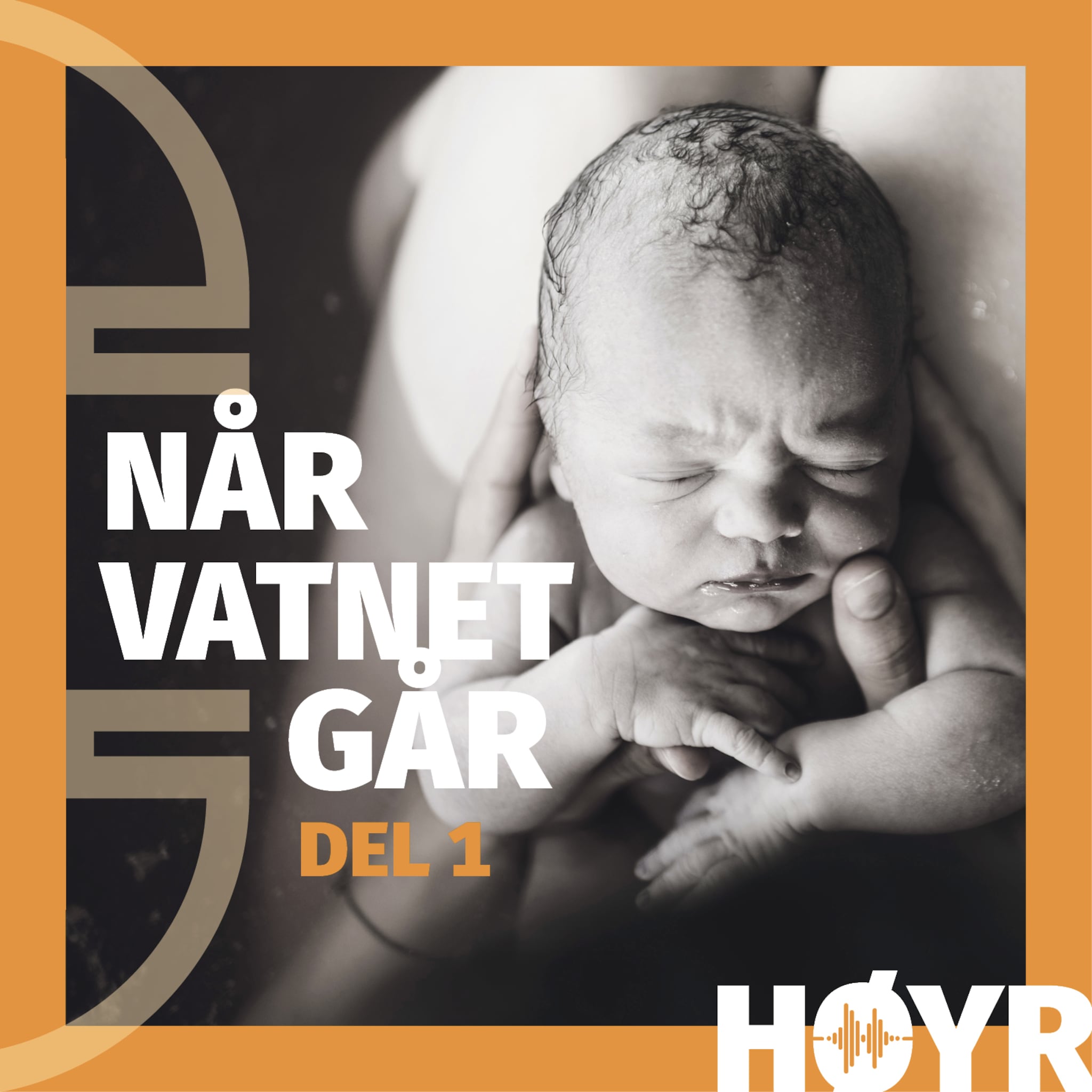 Viola: Styrtfødsel på Sundre