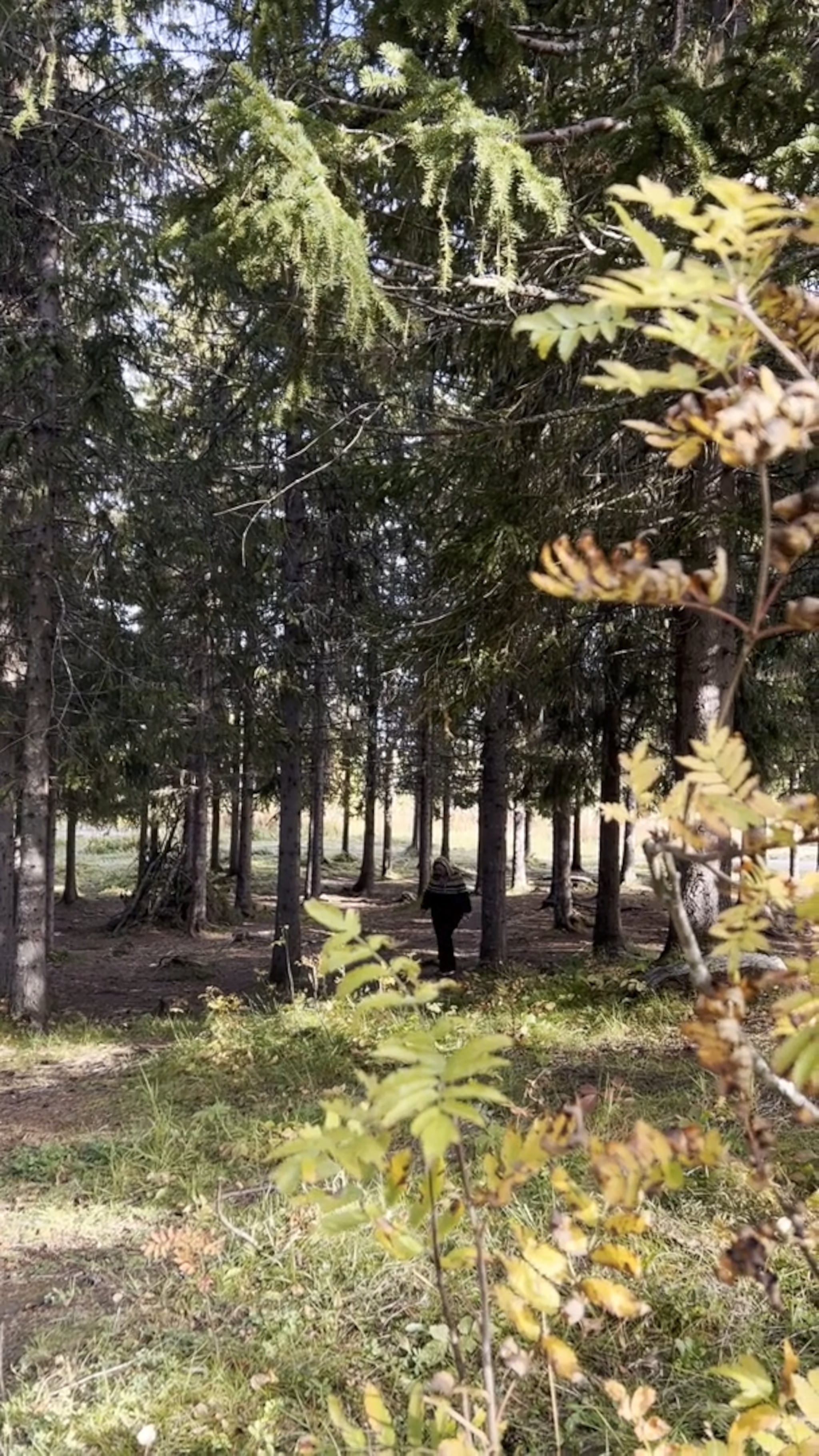 Tur i Folkeparken