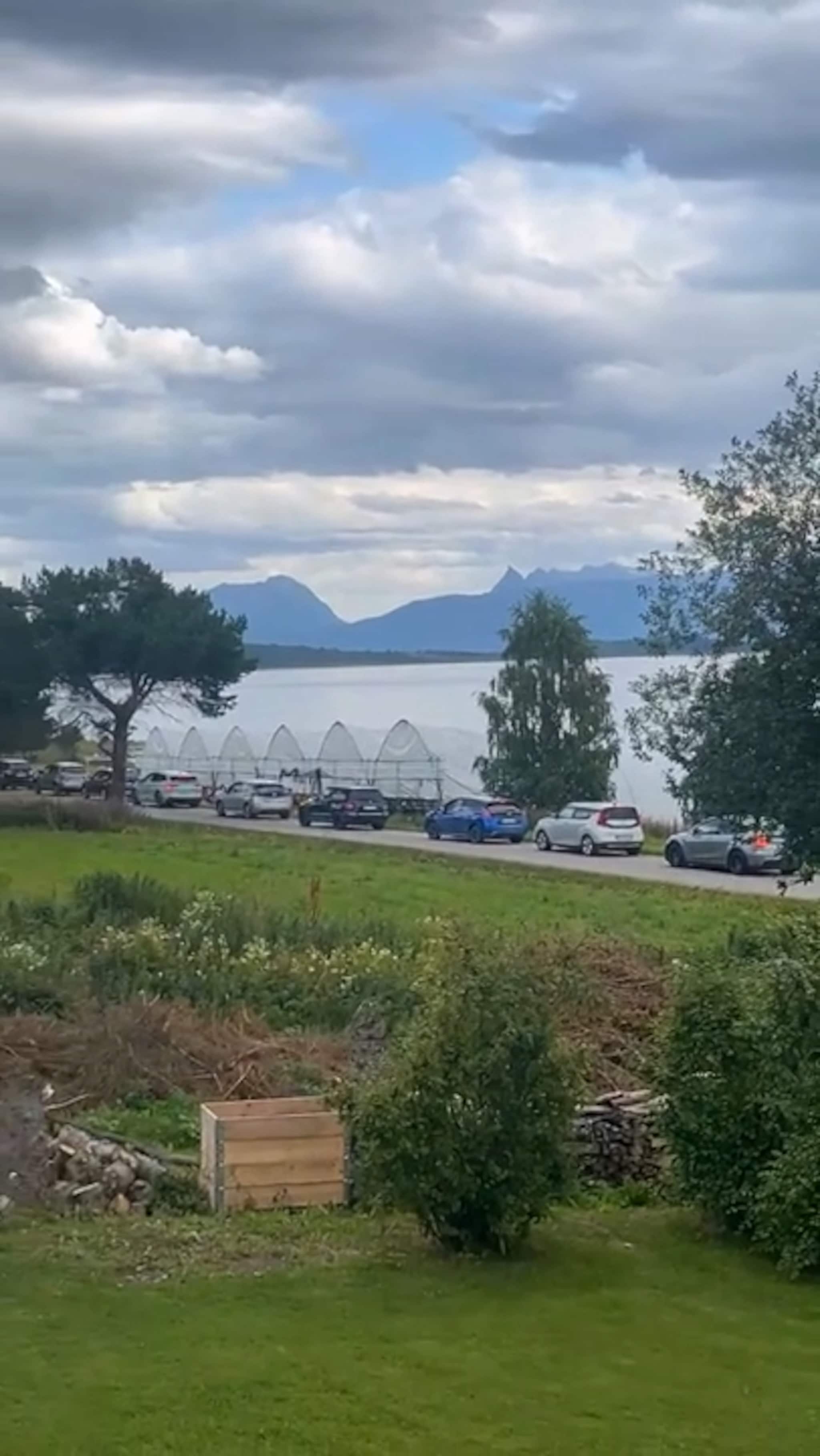 Jordbærkaos på Lundenes