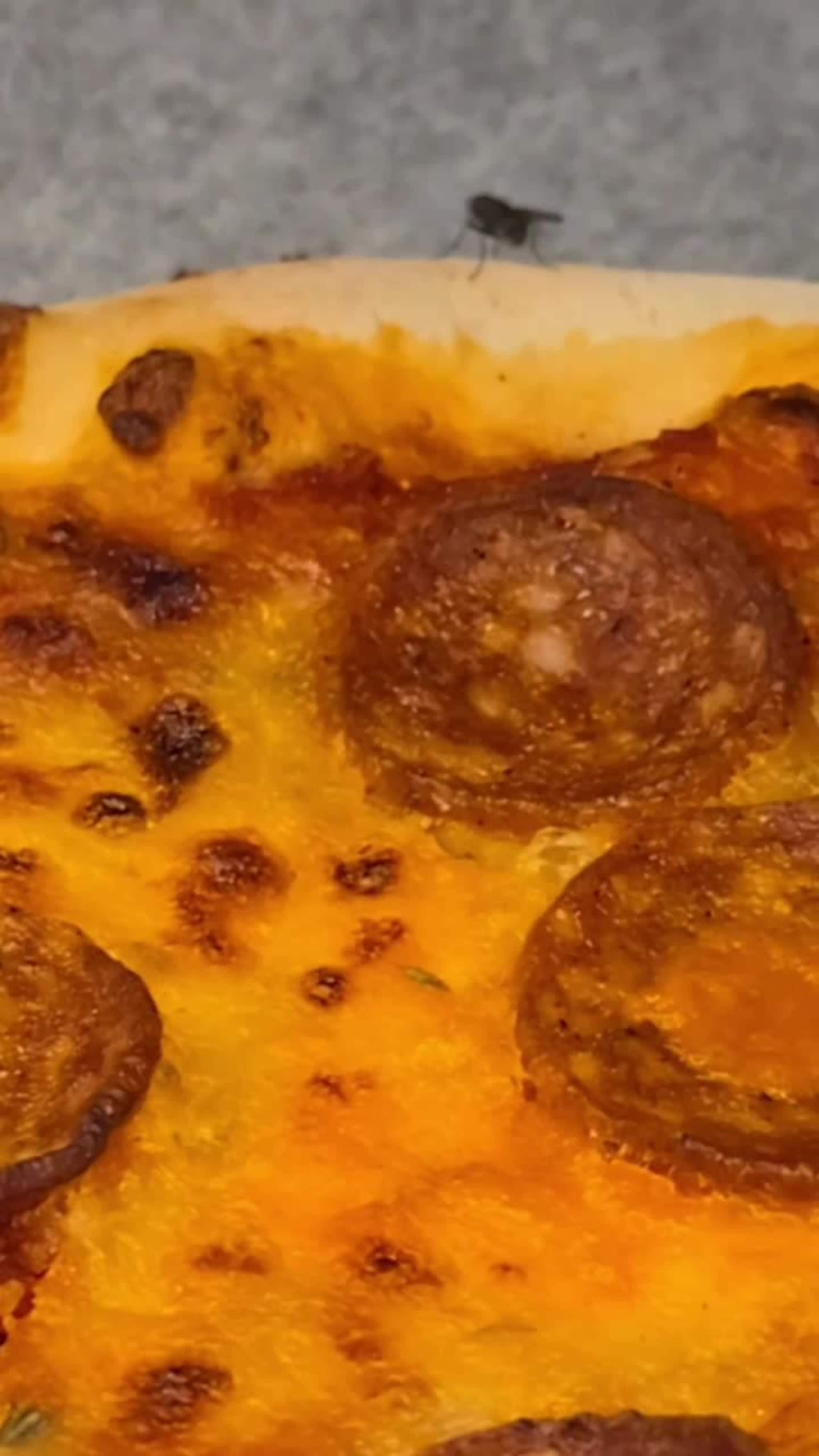 Fluer i bakedisken