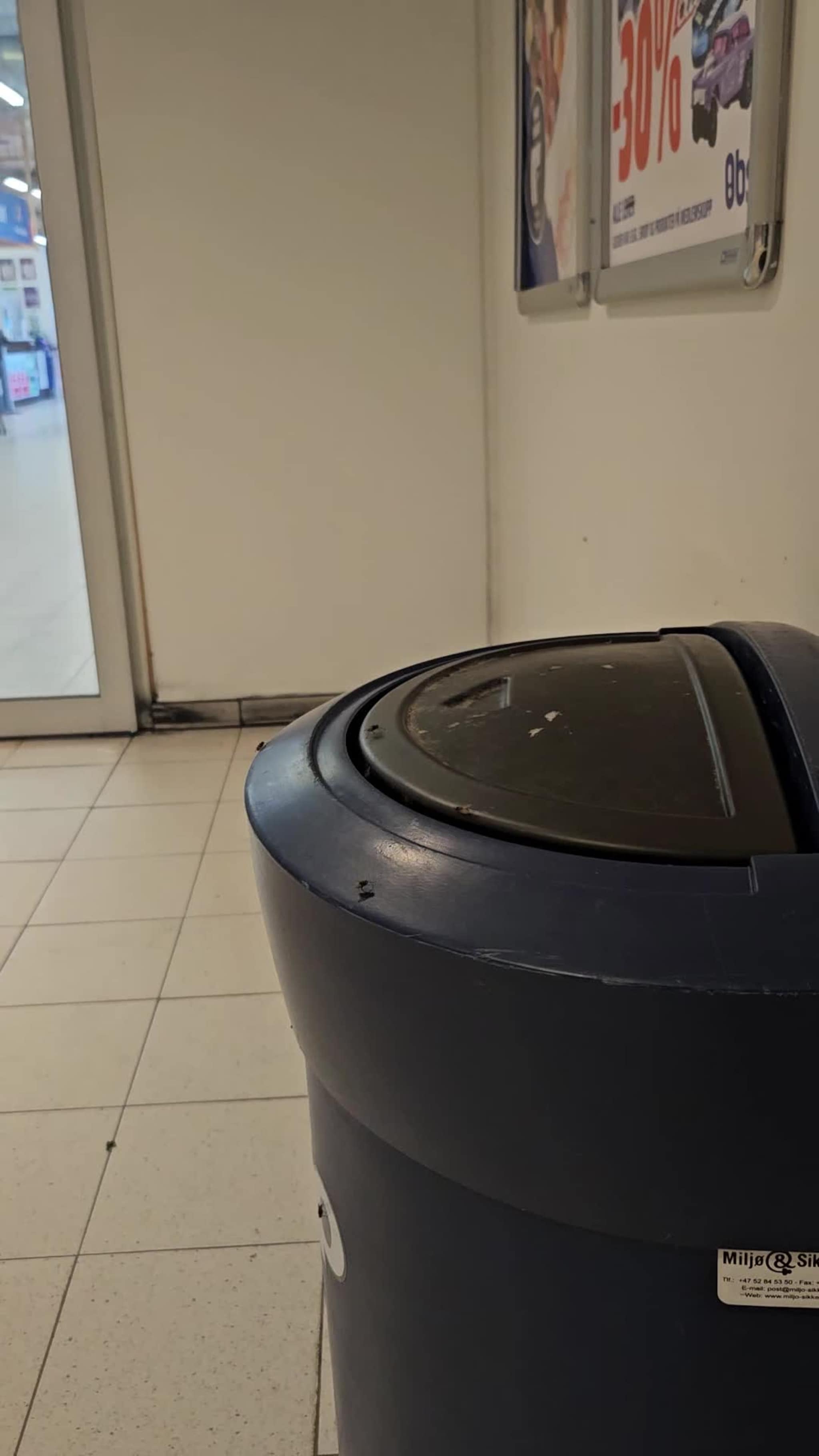 Flueinvasjon på Obs