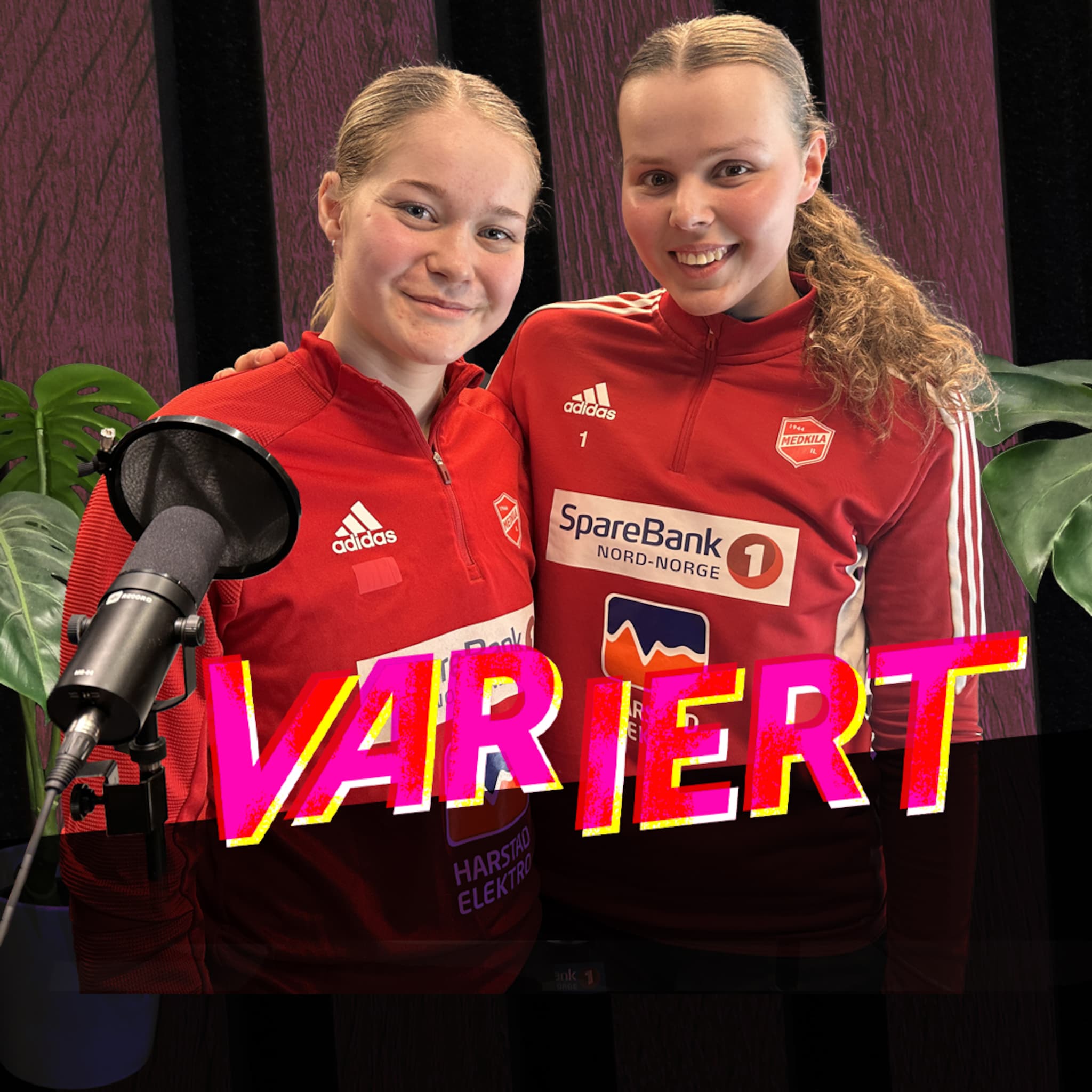 Forsvarere av landet og Medkila