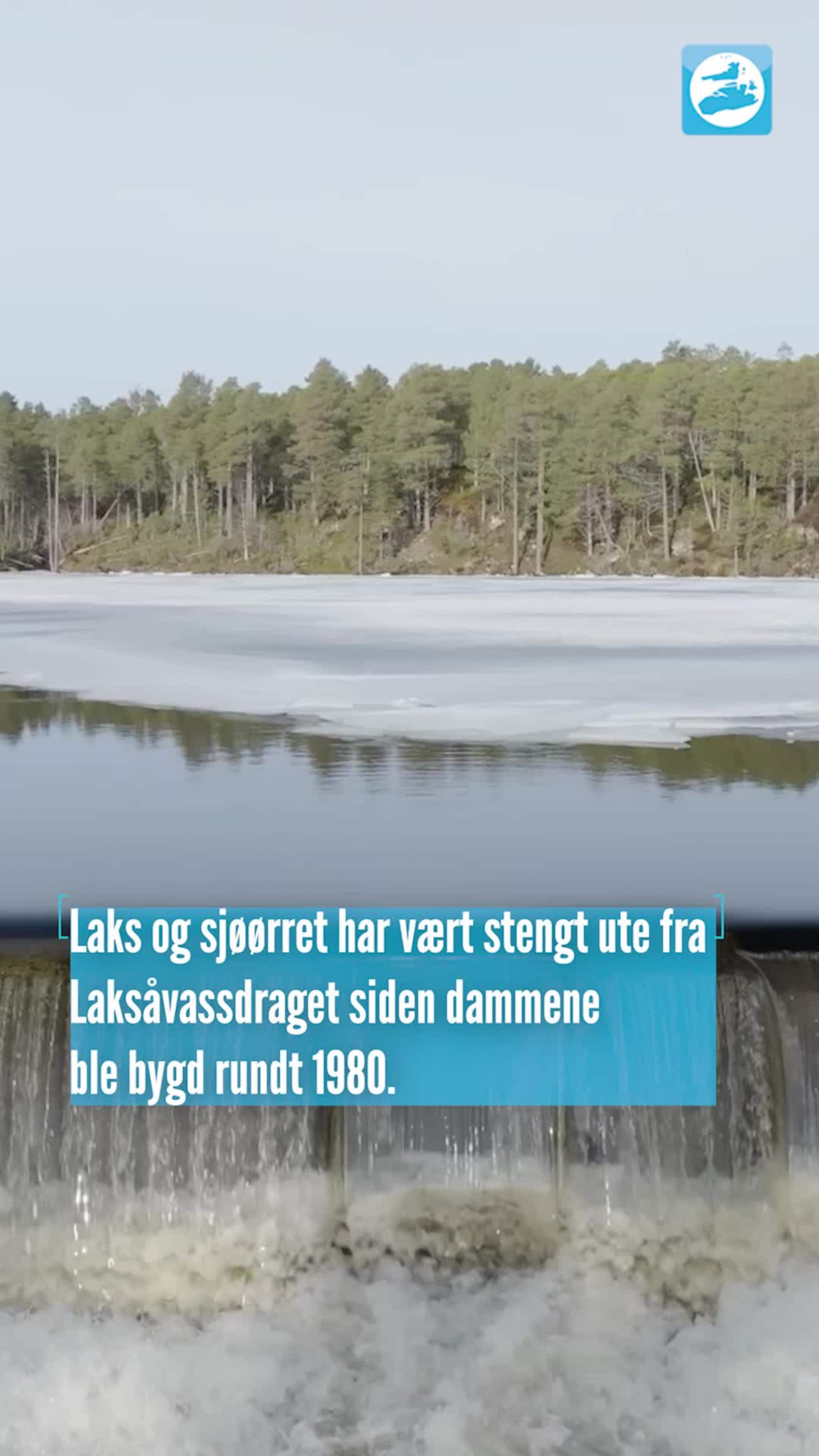 Måsøval Laksåvika - Hitra