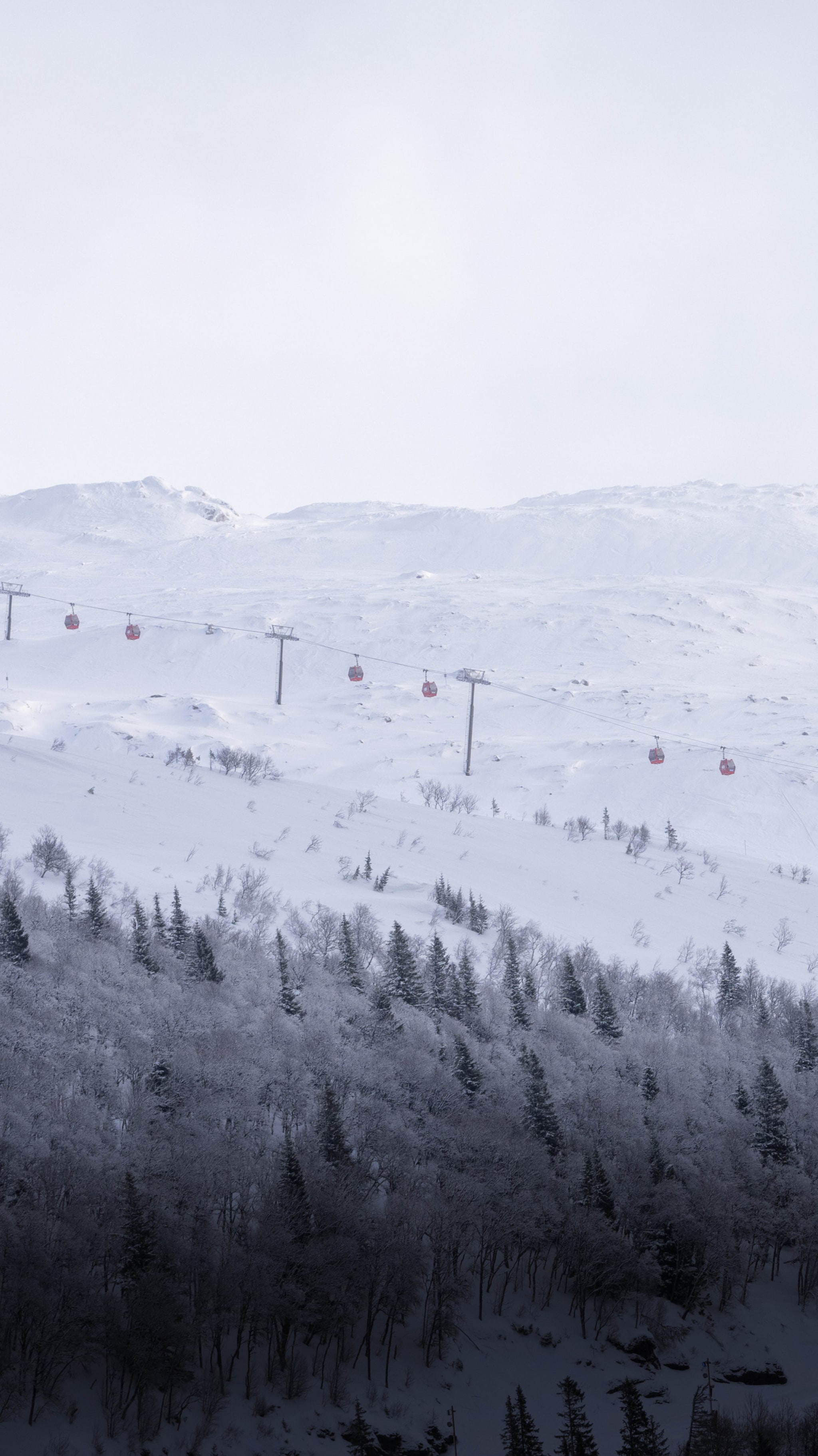 Mann mistet livet i skiulykke