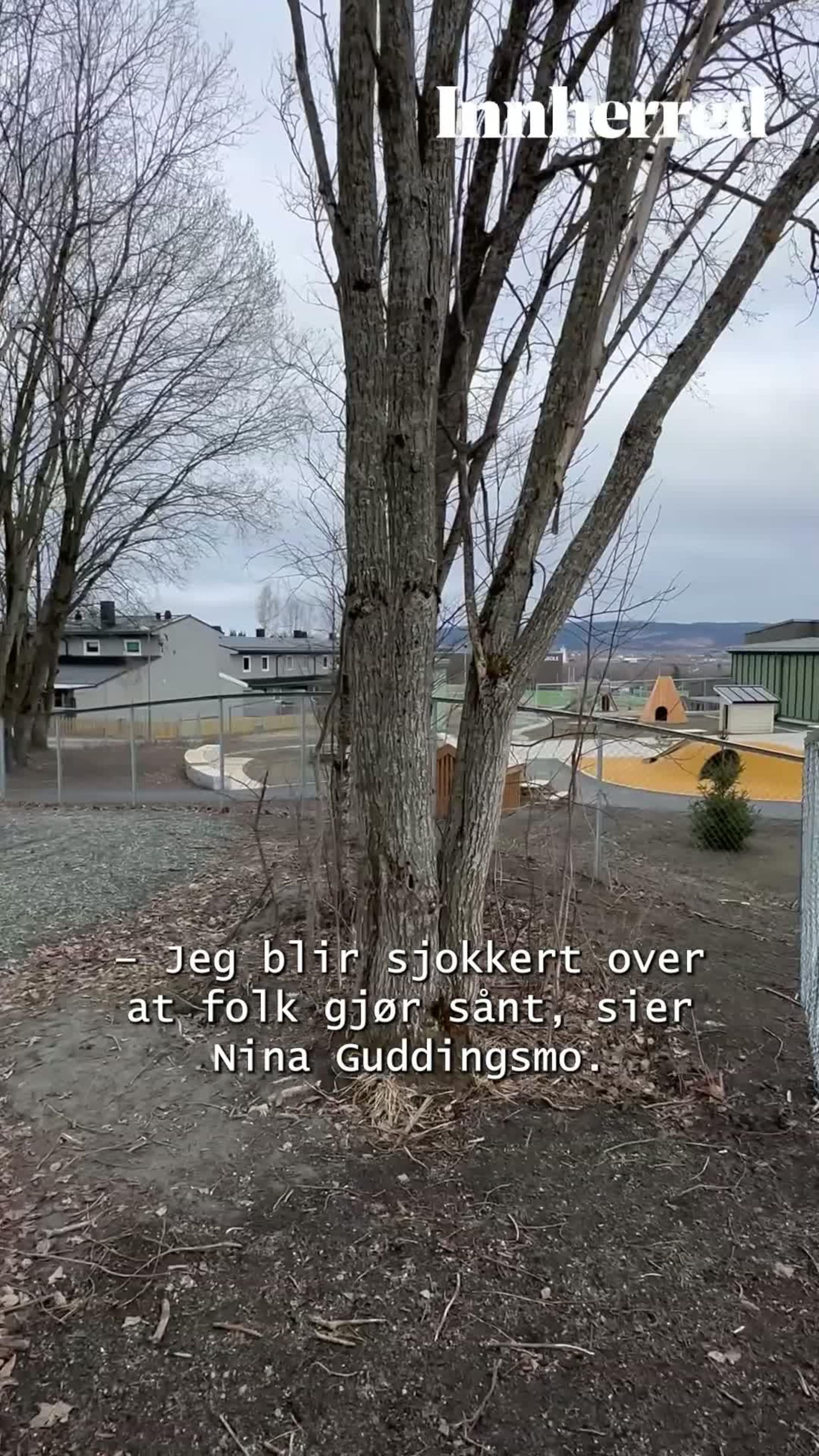 Barnehage brukes som hundegård