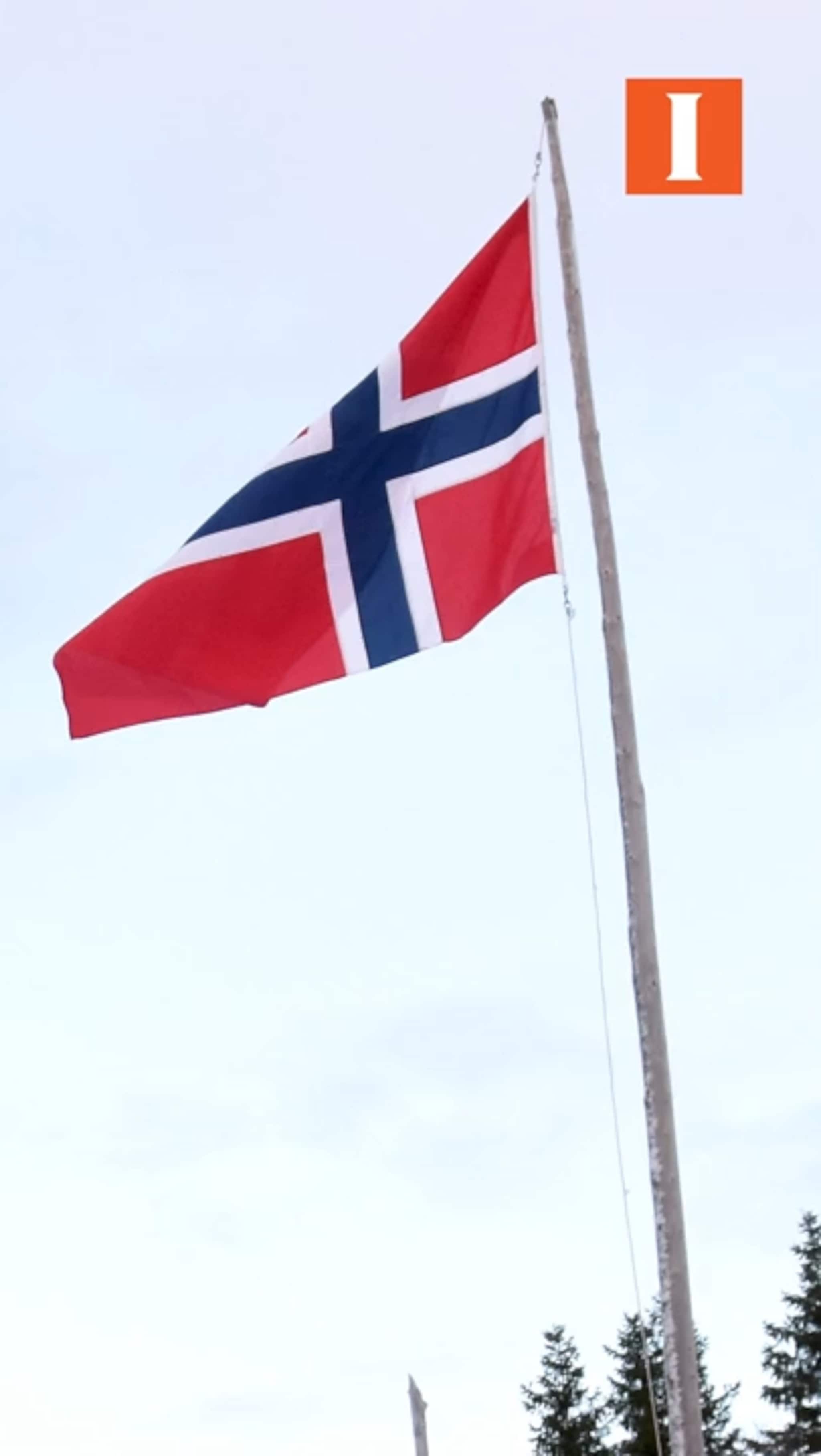 Flagg-forslag ble nedstemt