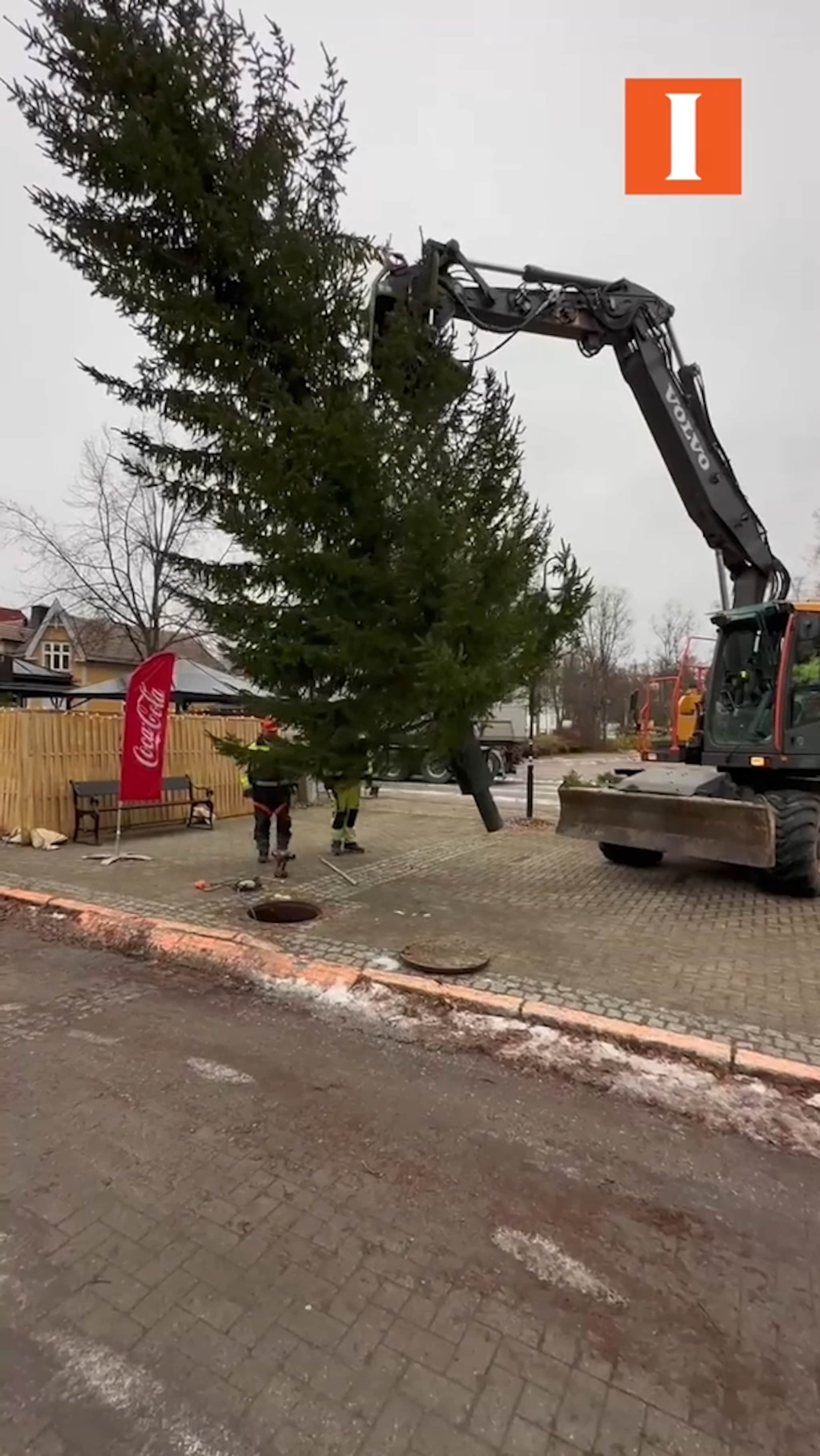 Snart tennes julegrana