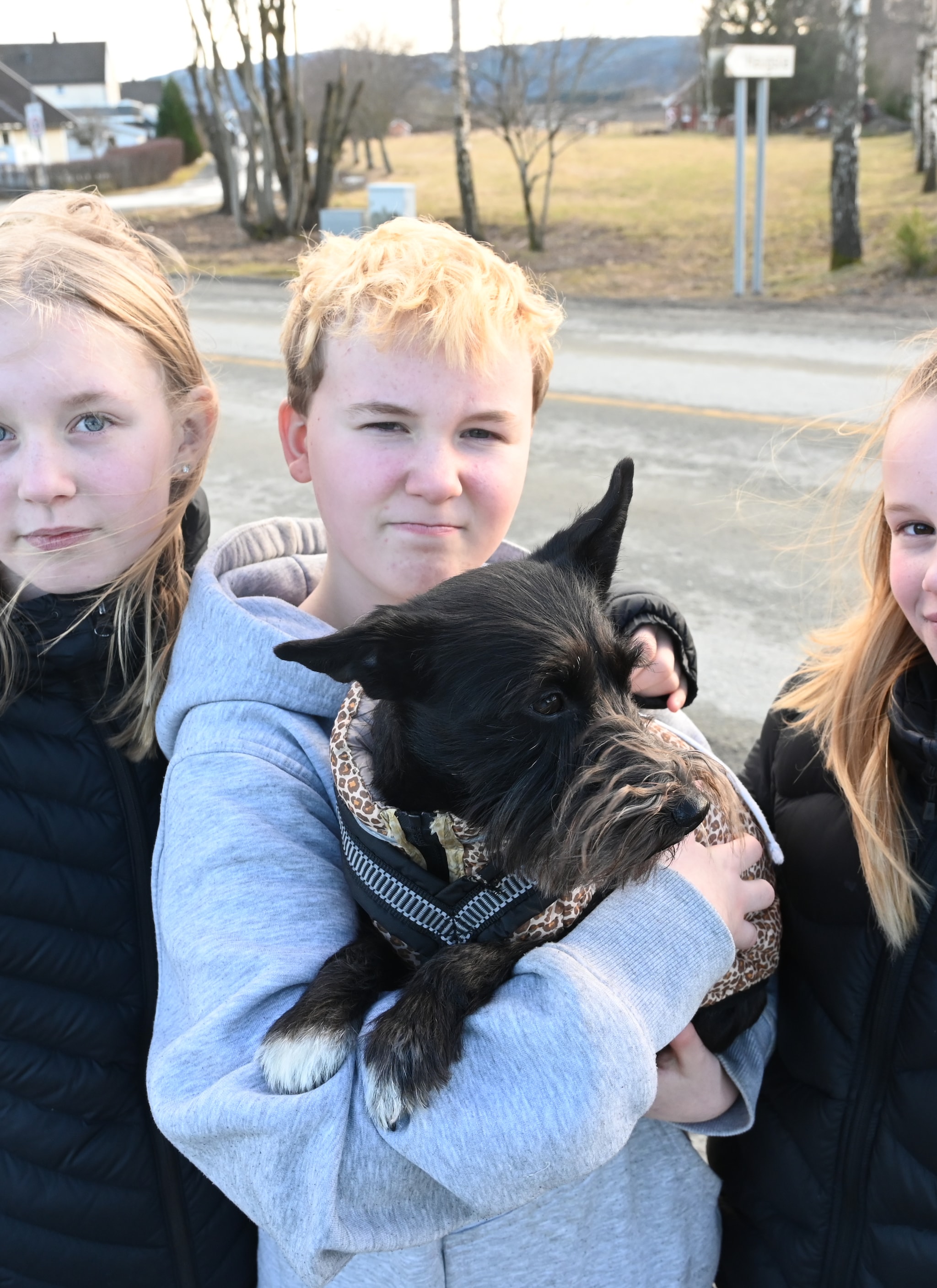 Hunden Billy ble påkjørt